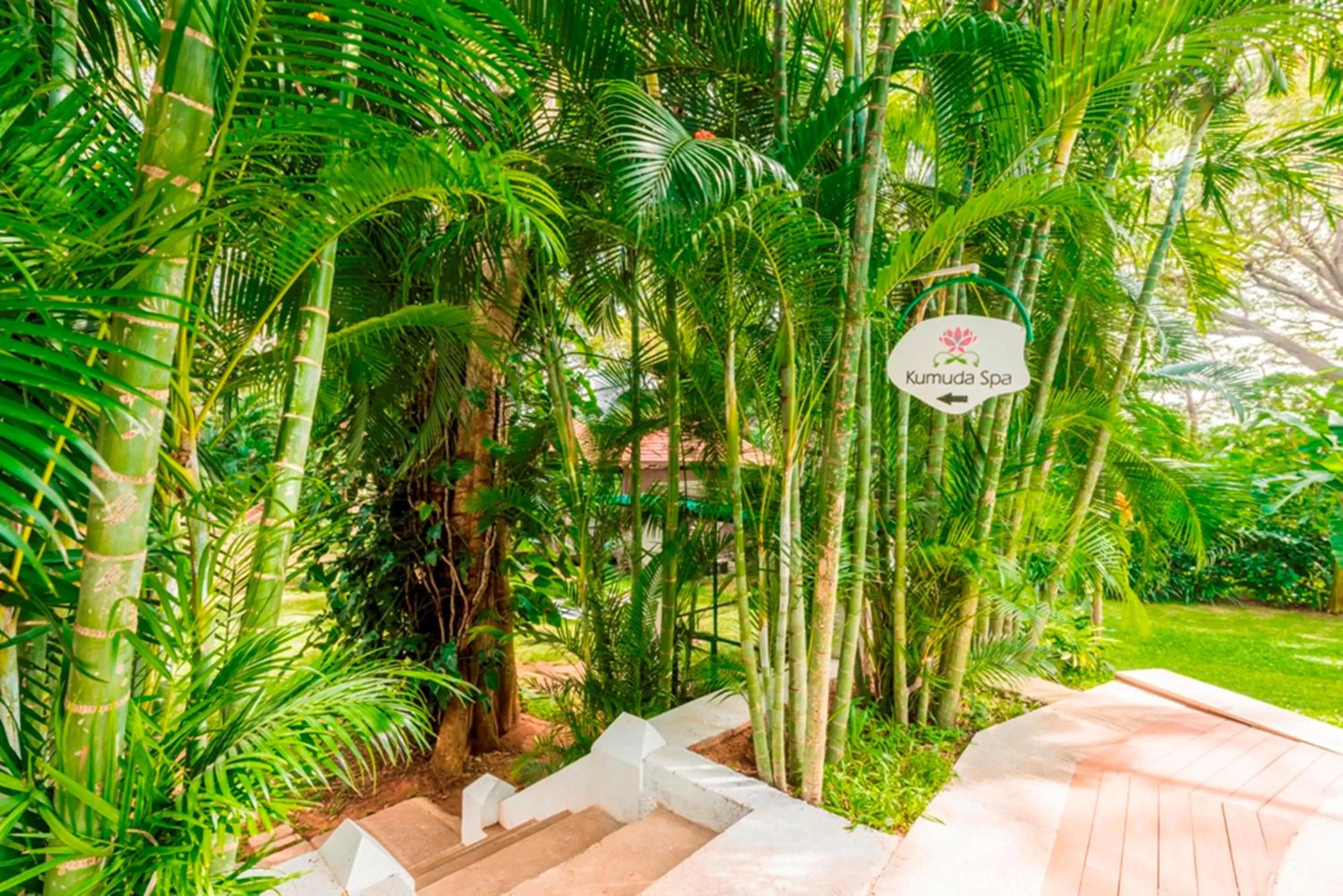 Spa and wellness centre/facilities in Royal Orchid Brindavan Garden Mysore