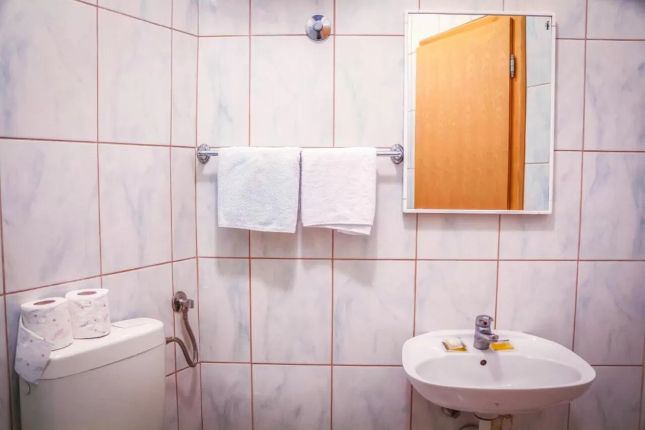 Bathroom in Motel Gas-Petrol