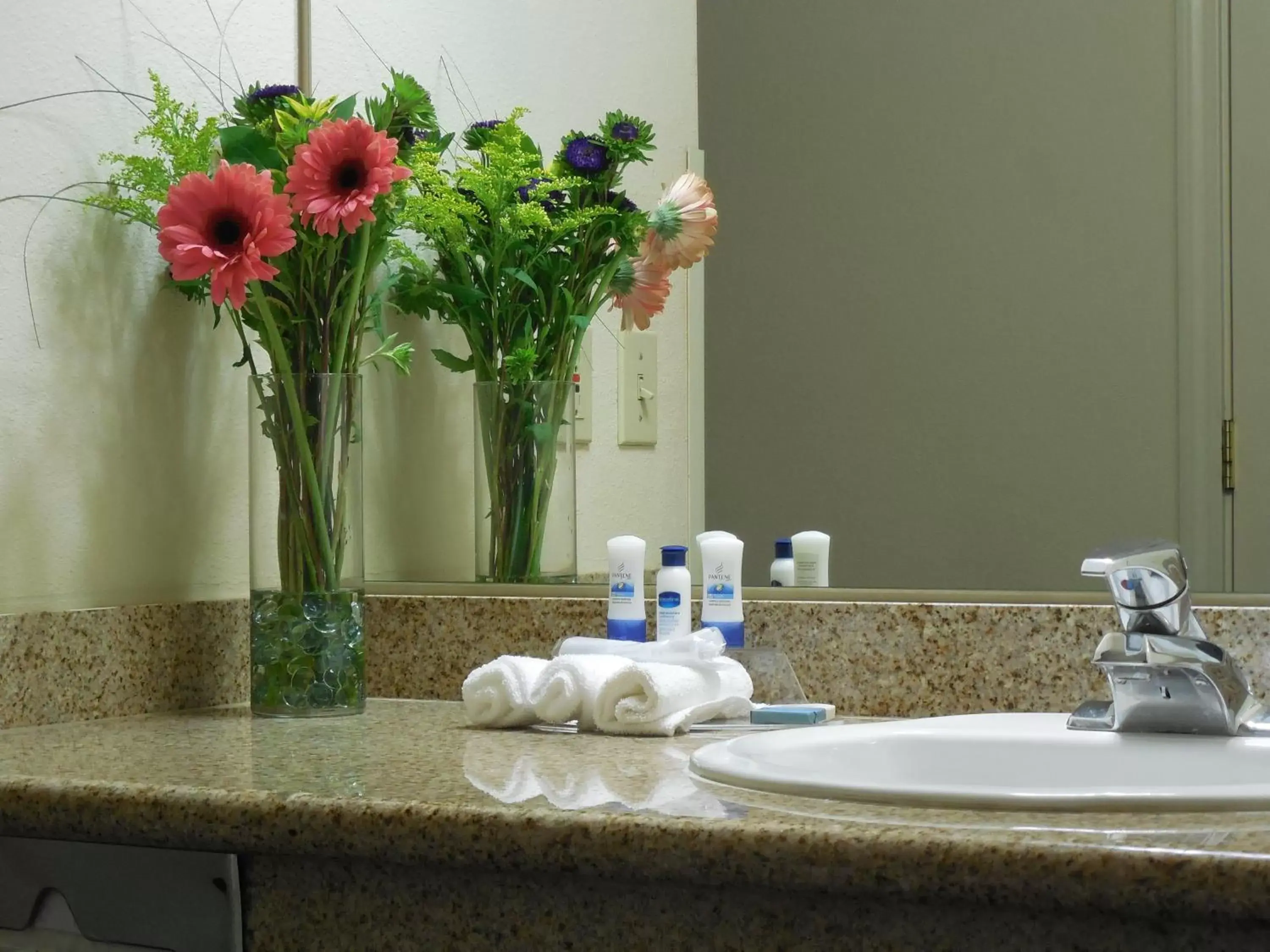 King Room - single occupancy - Pet-Friendly in Best Western John Jay Inn King Room - single occupancy - Pet-Friendly in Best Western John Jay Inn