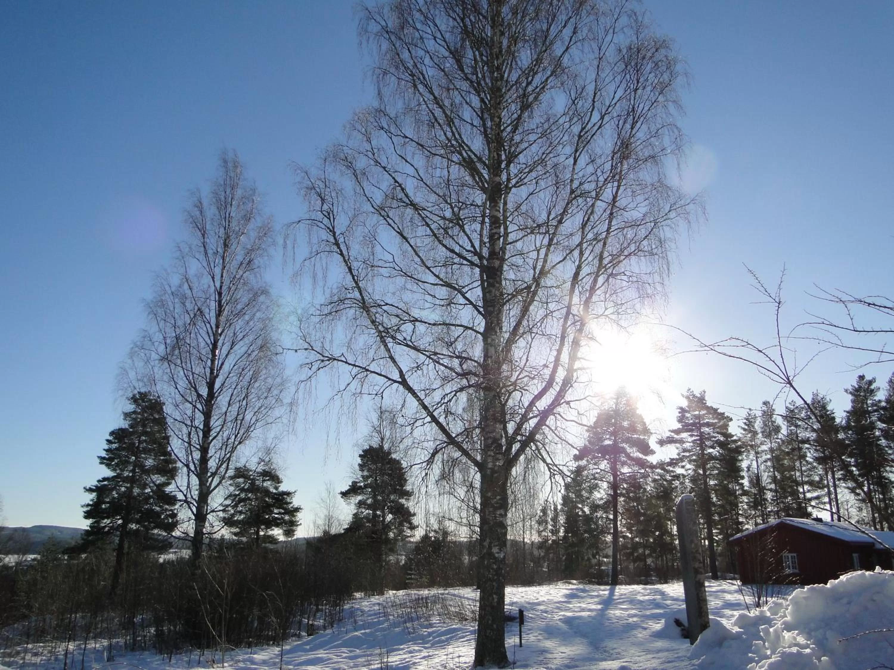 Winter in Sunne Hembygdsgård B&B