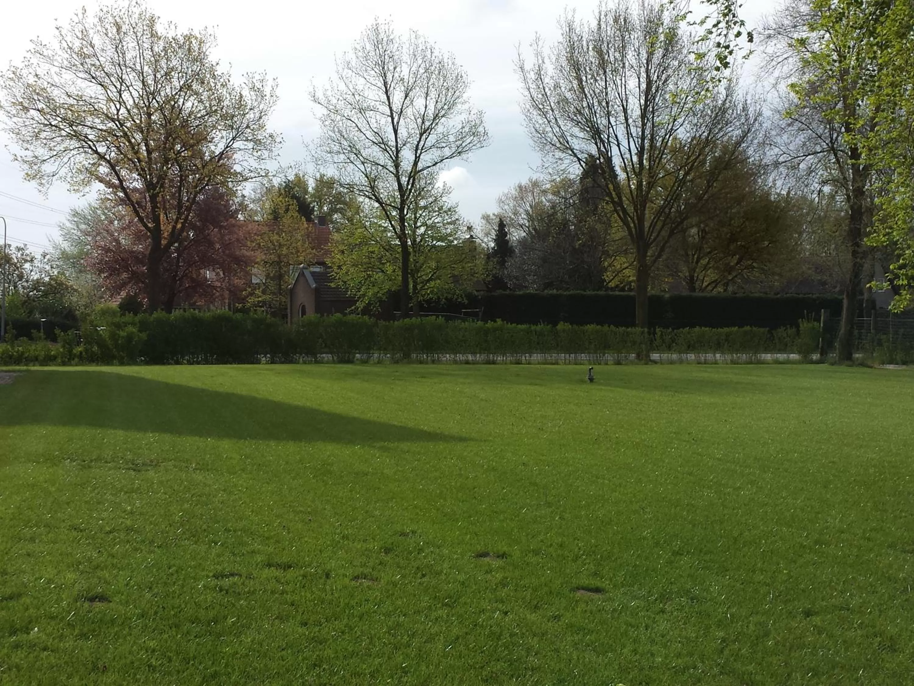 Spring in B&B Johannes-Hoeve