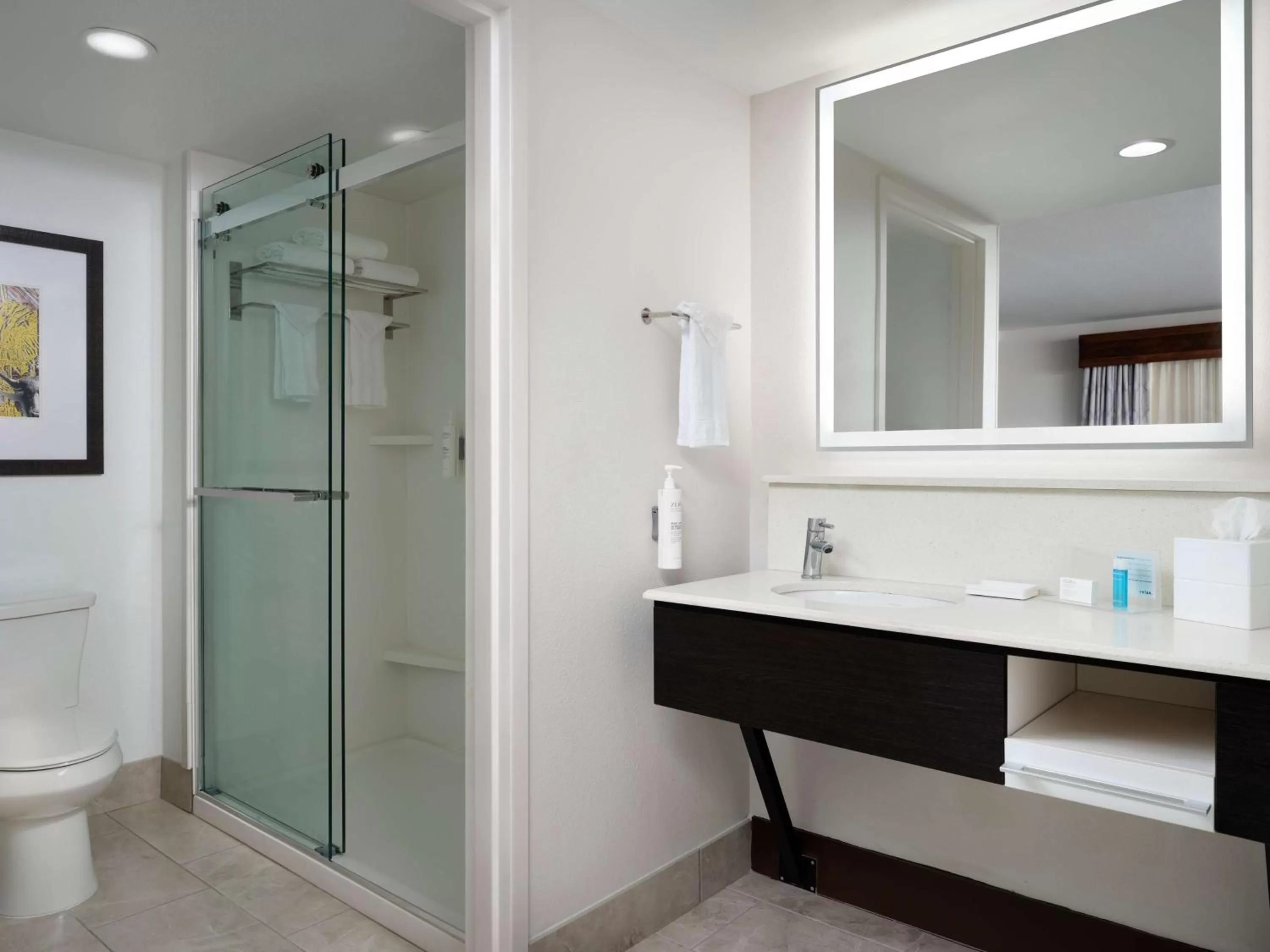 Bathroom in Hampton Inn & Suites Austin - Downtown