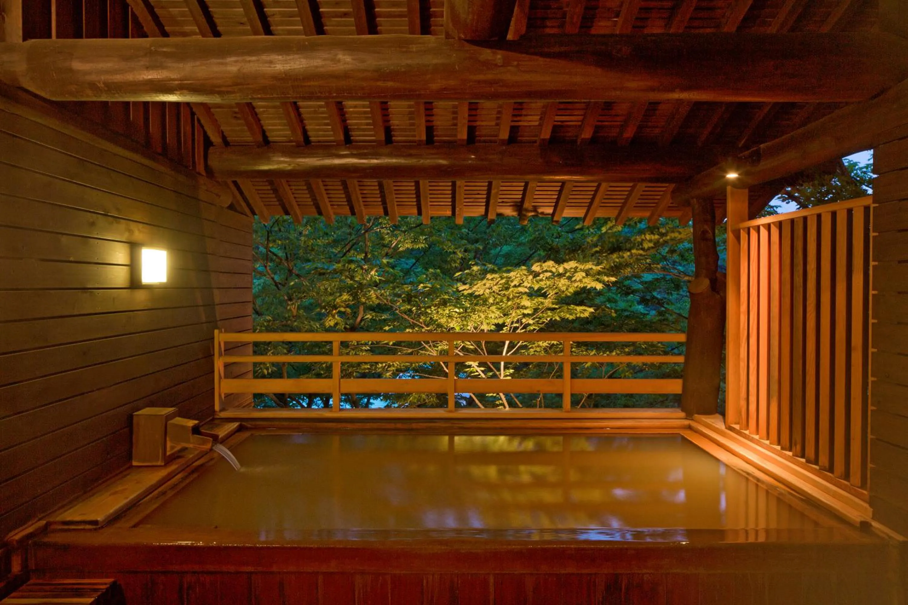 Hot Spring Bath in Kishigon Ryokan