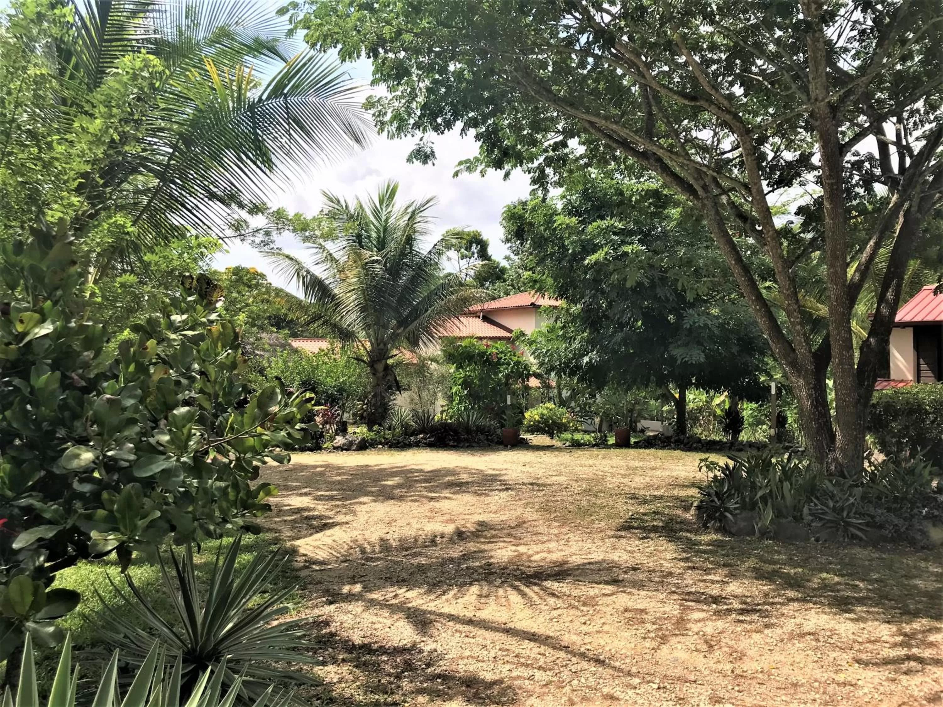 View (from property/room), Garden in Sattva Land