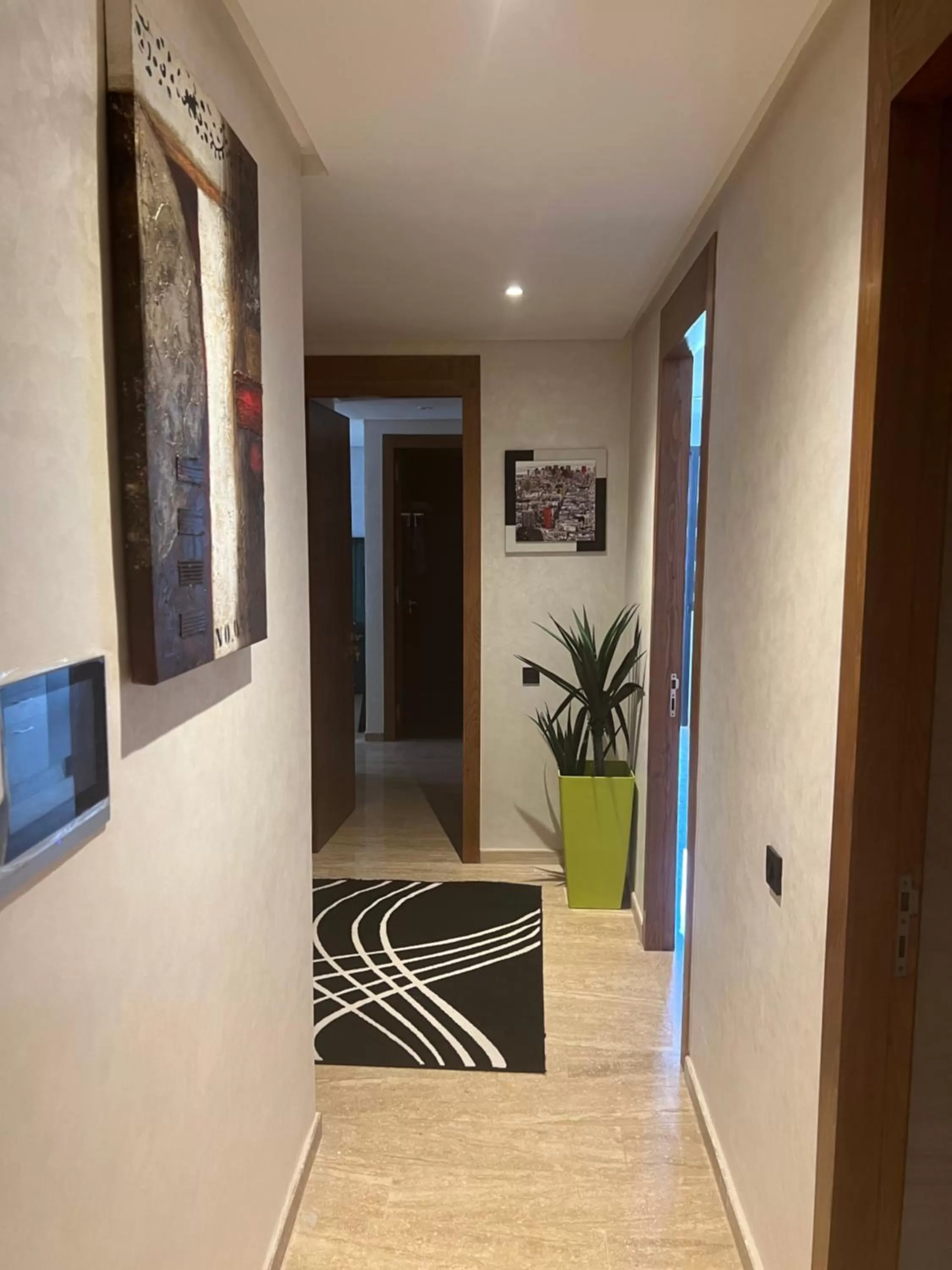 TV and multimedia in Luxury apartment 2