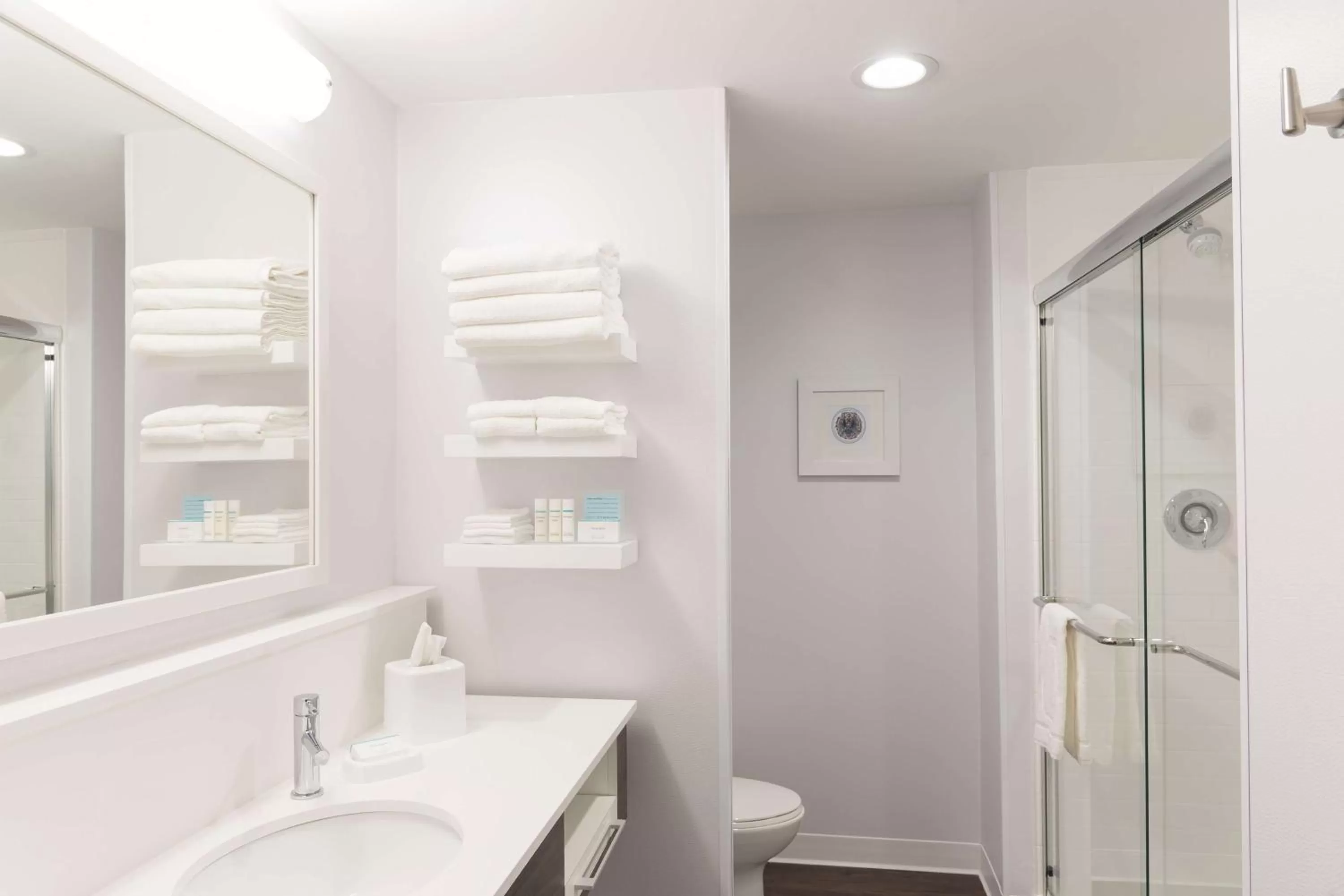 Bathroom in Hampton Inn & Suites by Hilton Chicago Schaumburg IL