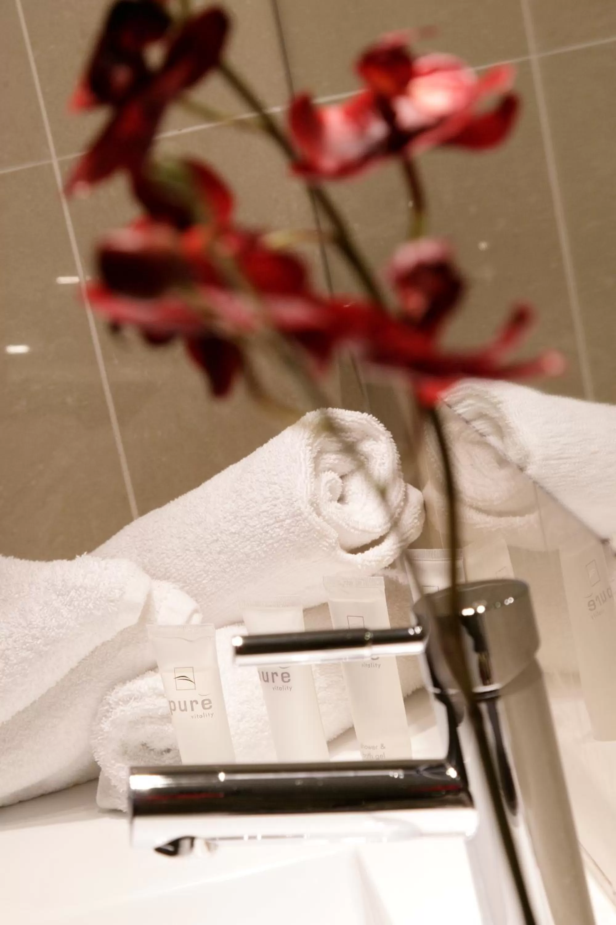 Bathroom in Carlyle Suites & Apartments