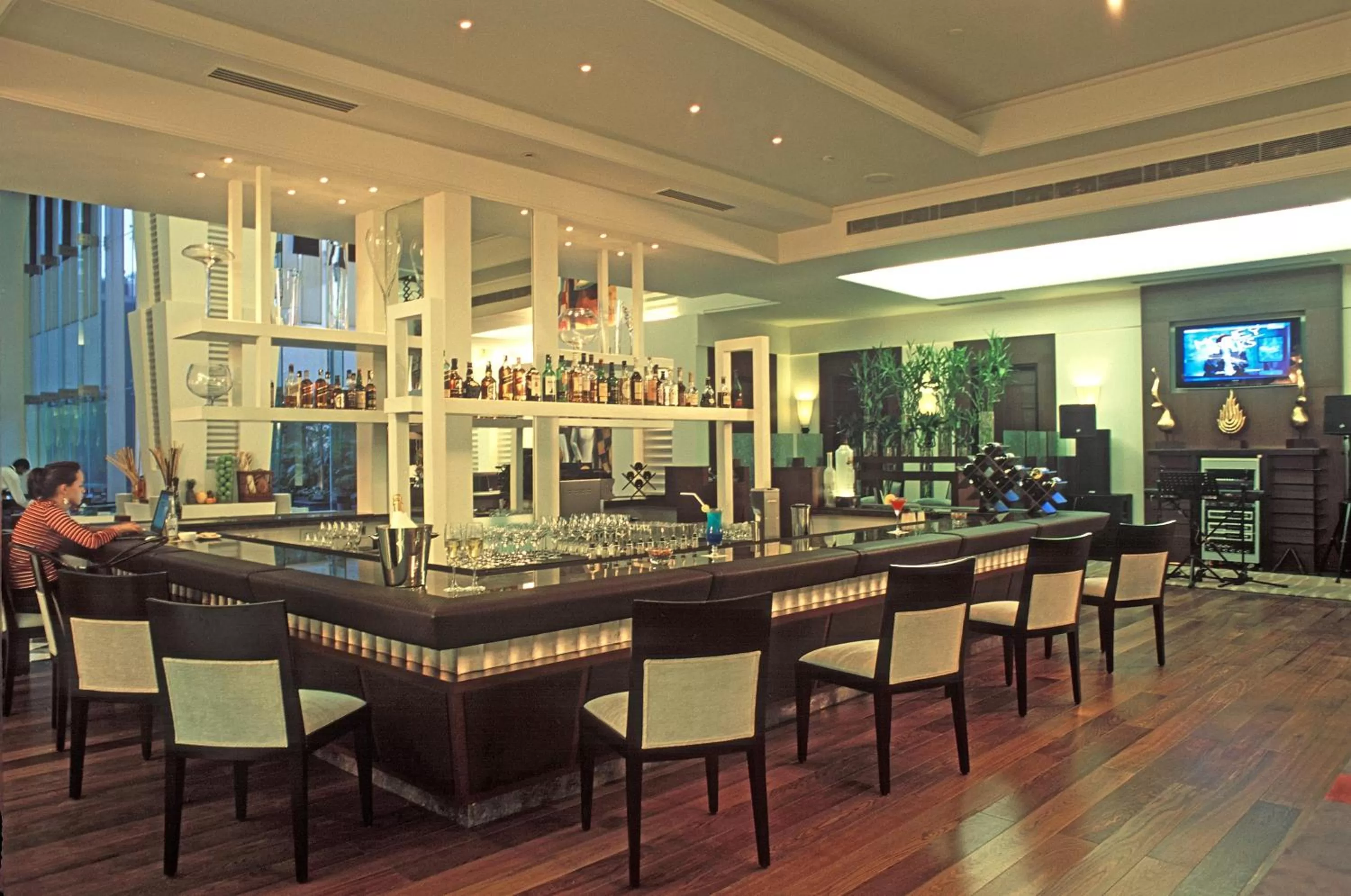 Lounge or bar in Radisson Noida