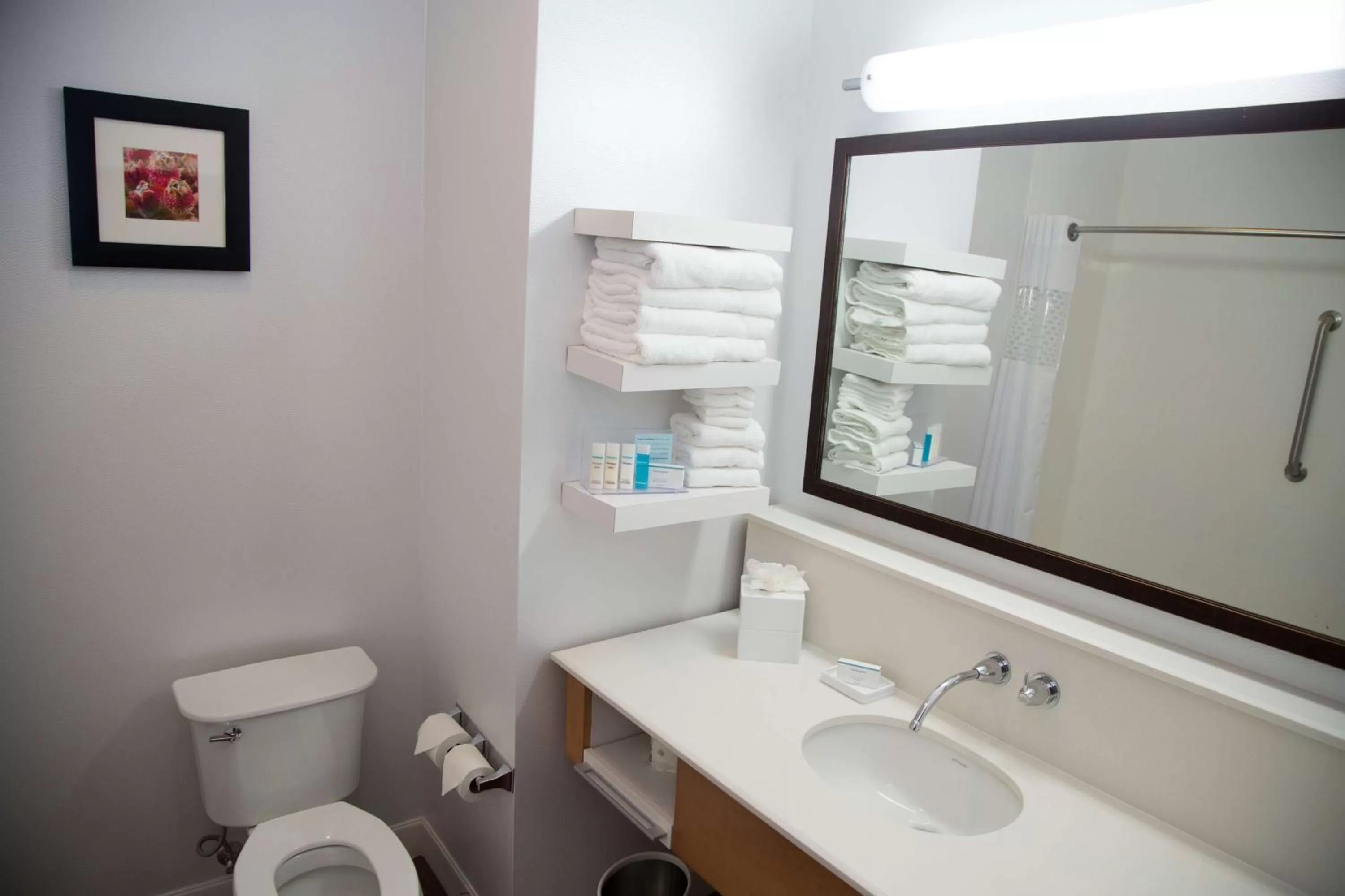 Bathroom in Hampton Inn and Suites by Hilton McKinney