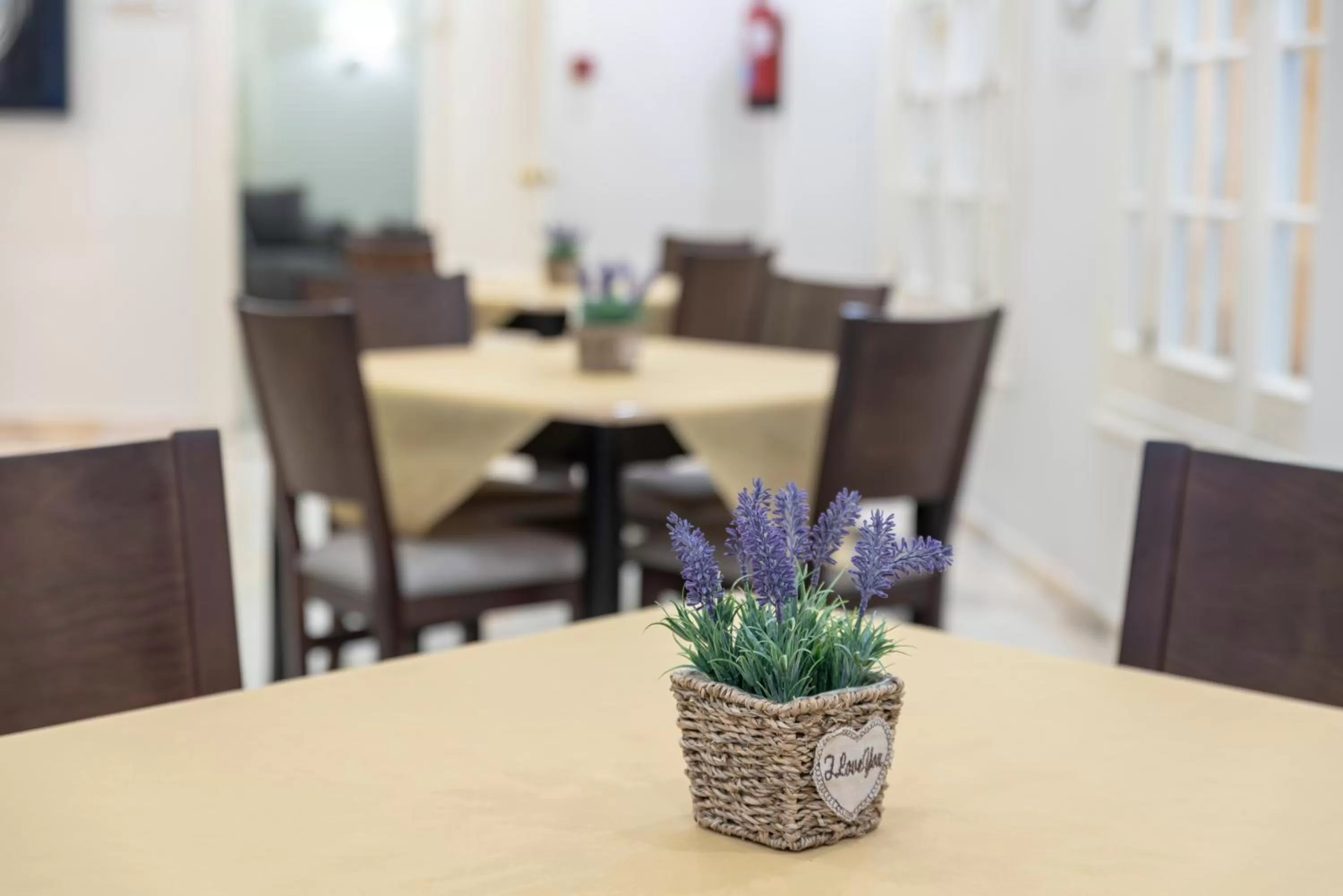 Lounge or bar in Hotel Ramomar