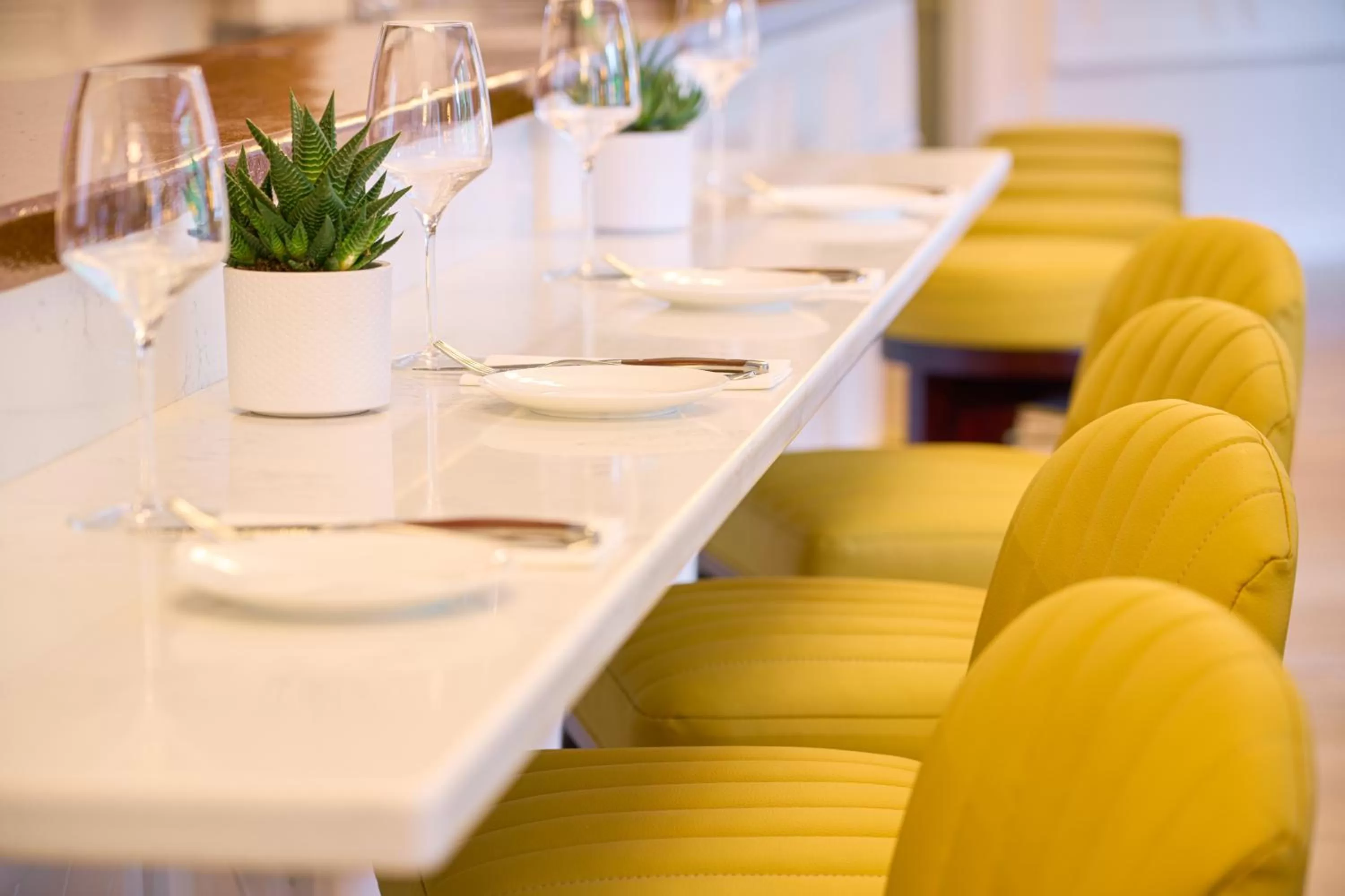 Restaurant/places to eat in The Lansdowne Kenmare