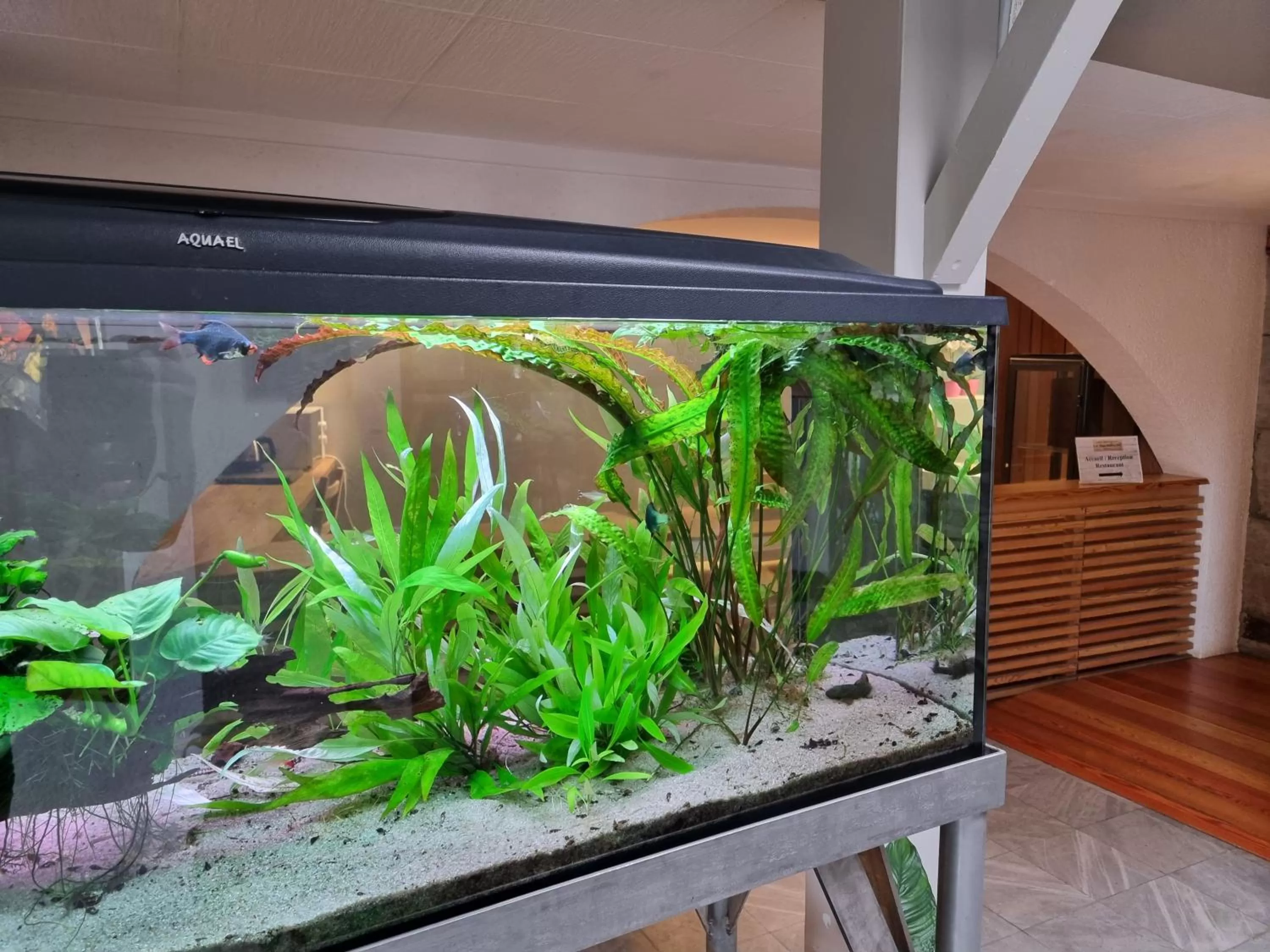 Lobby or reception in Hotel Le Bourgogne