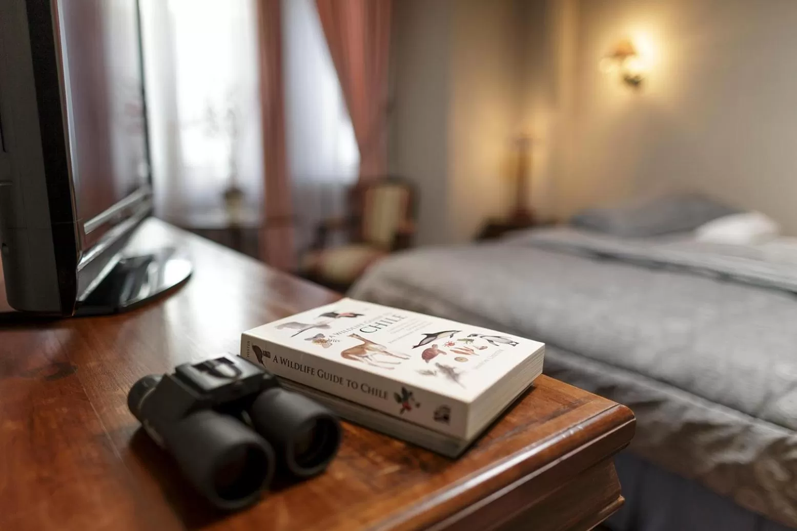 Other, Bed in Hotel Isla Rey Jorge