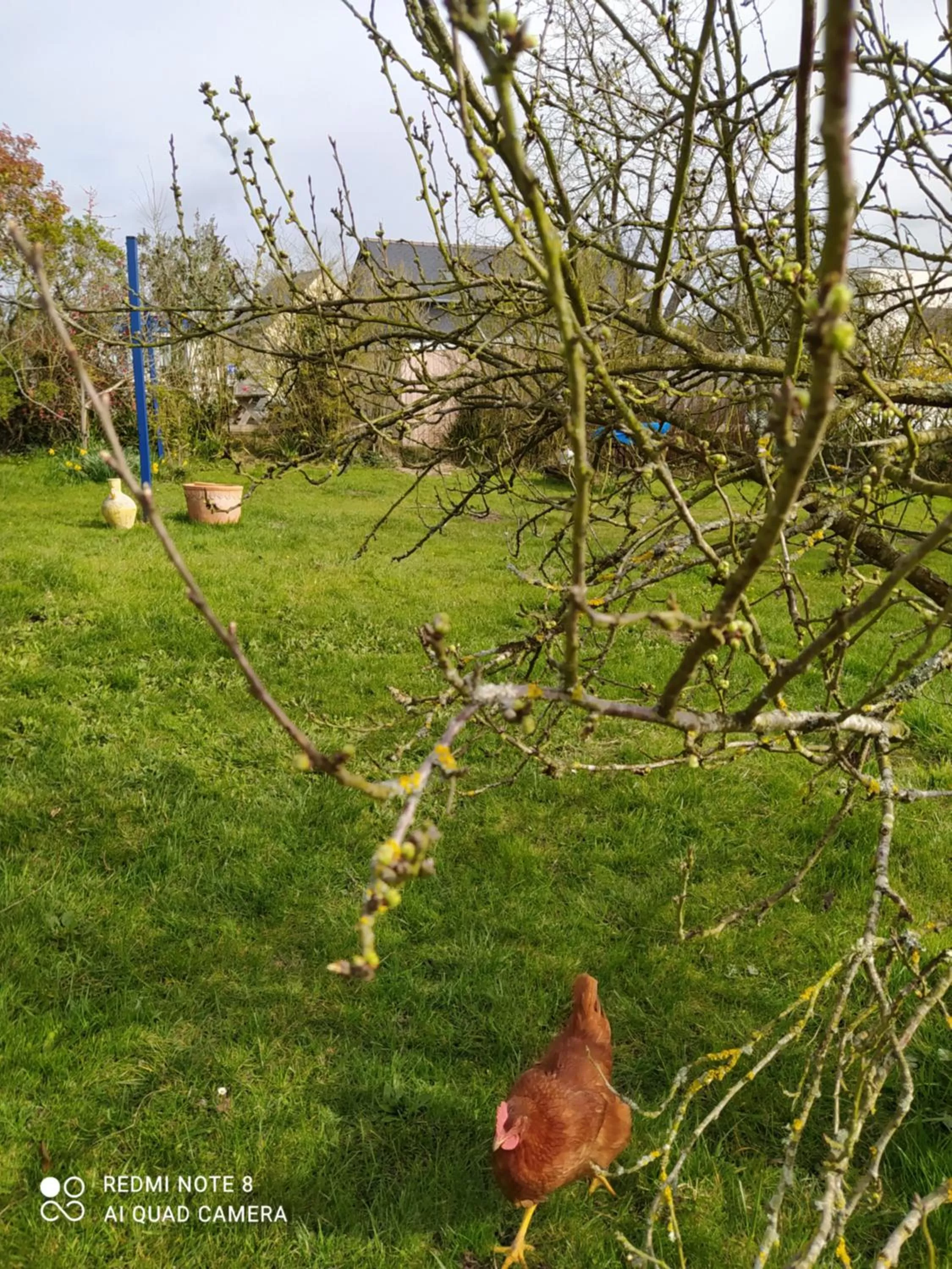Garden in Ker Anahid - L'Atelier
