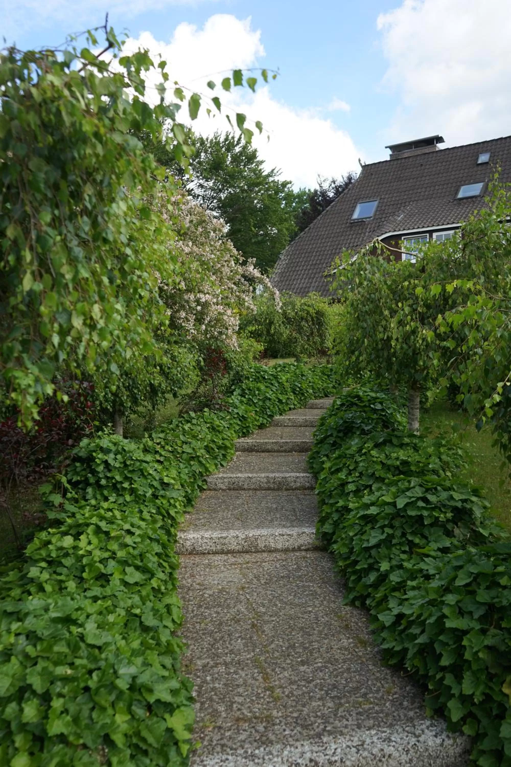 Garden in Niedersachsen Hof