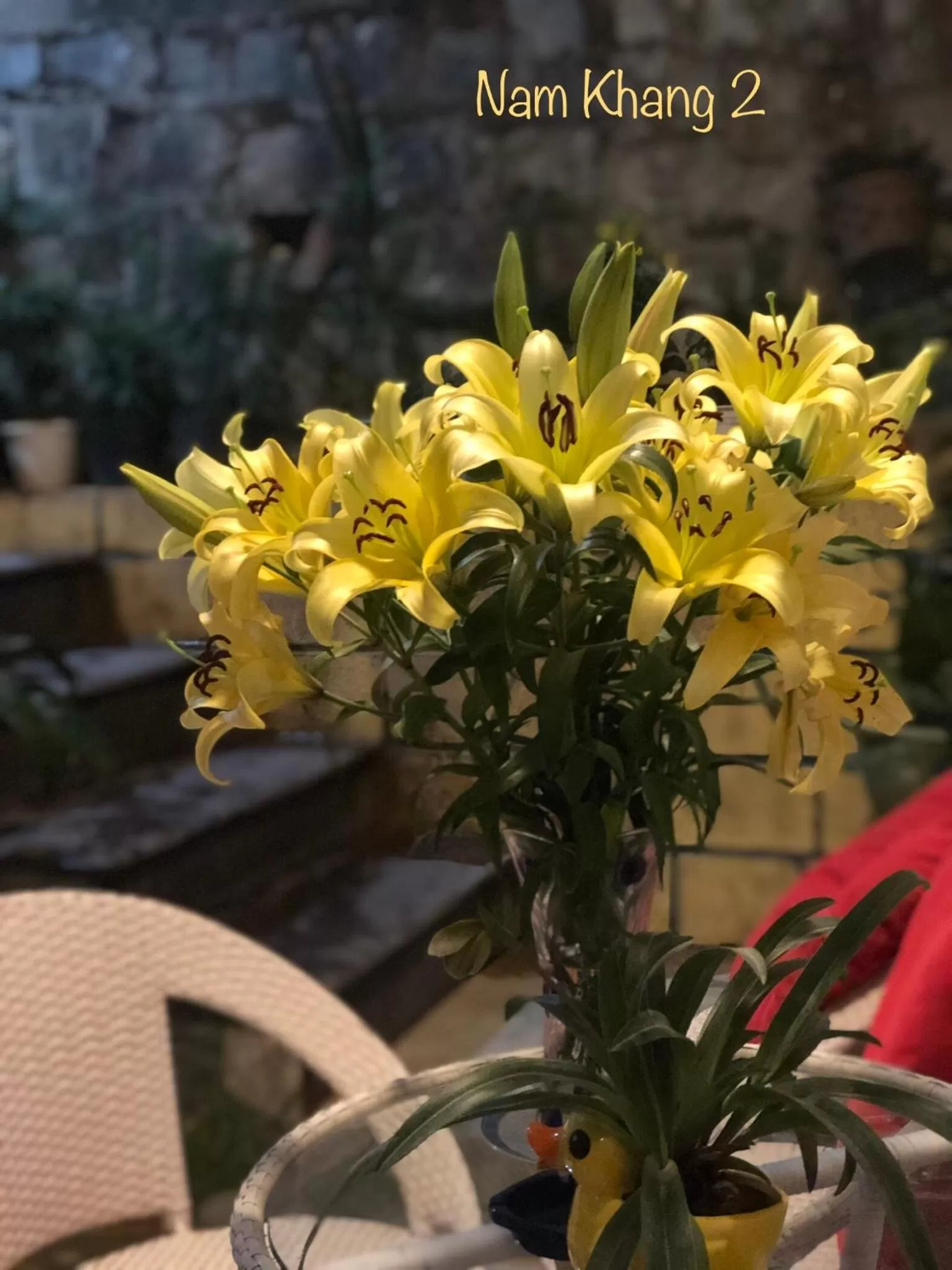 Garden in Villa - Hotel Nam Khang 2 Dalat