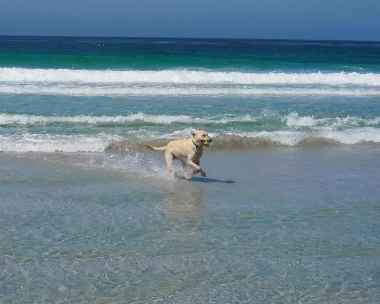 Beach in Briarwood Inn