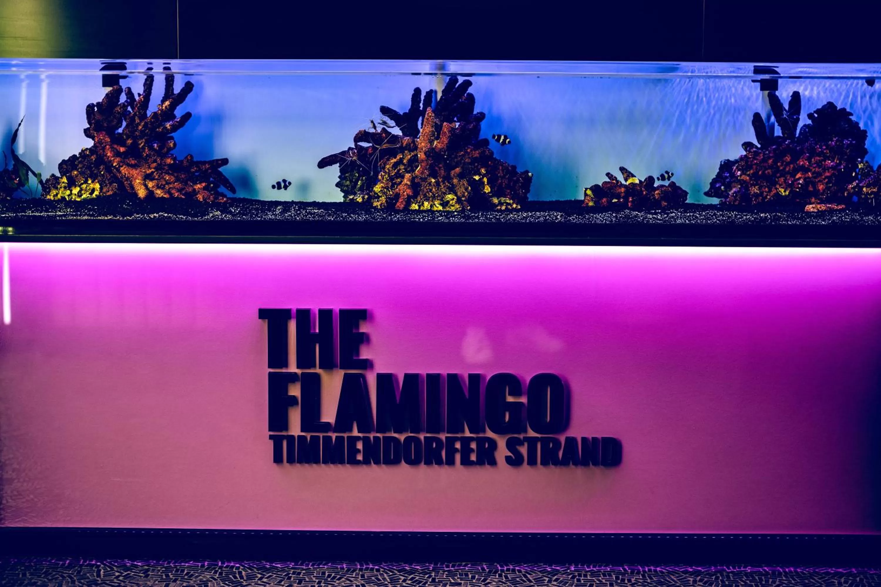 Lobby or reception in The Flamingo