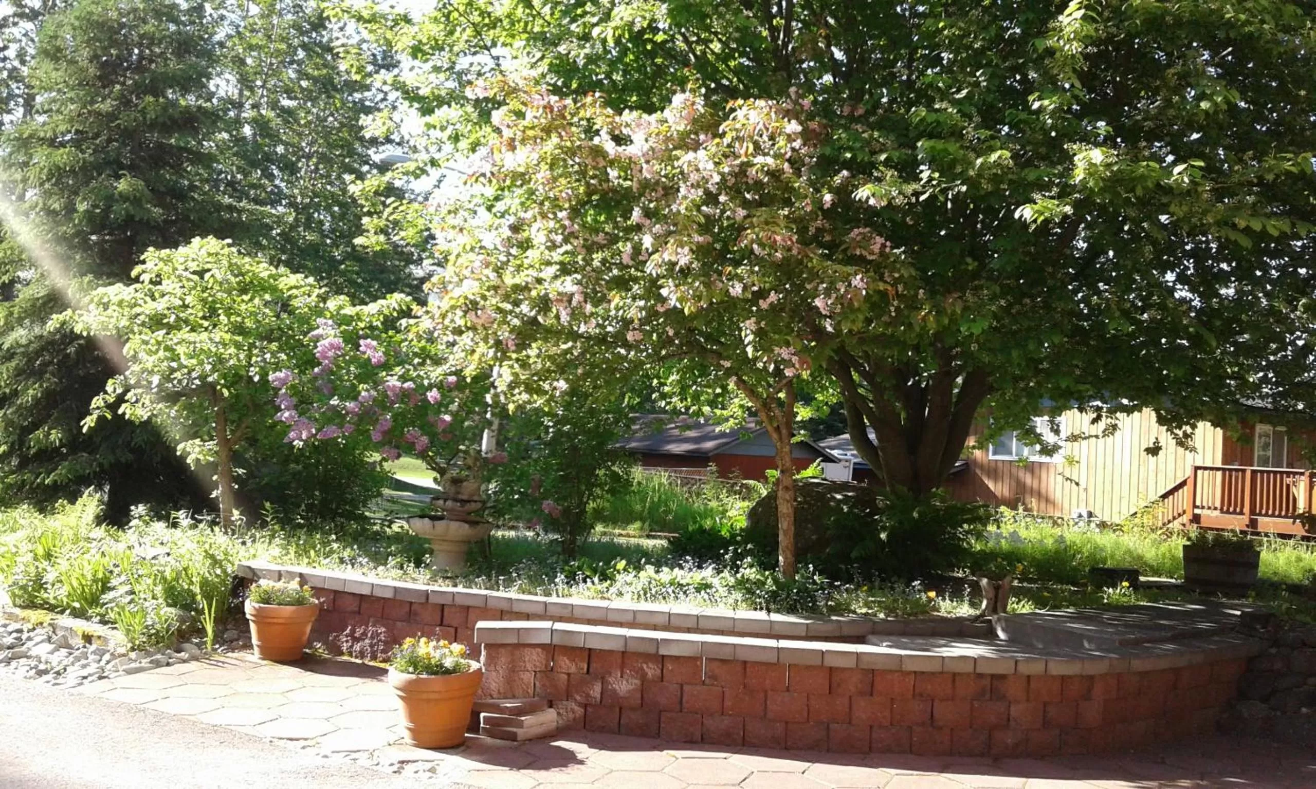 Alaska Chalet Bed & Breakfast