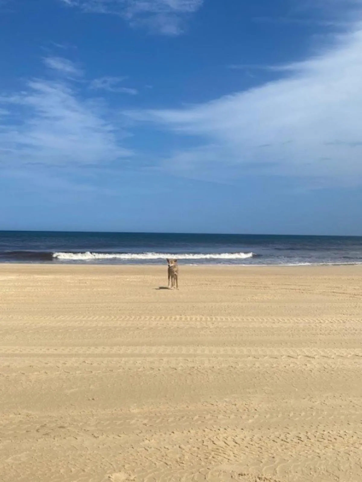 Nearby landmark in Hervey Bay Flashpackers