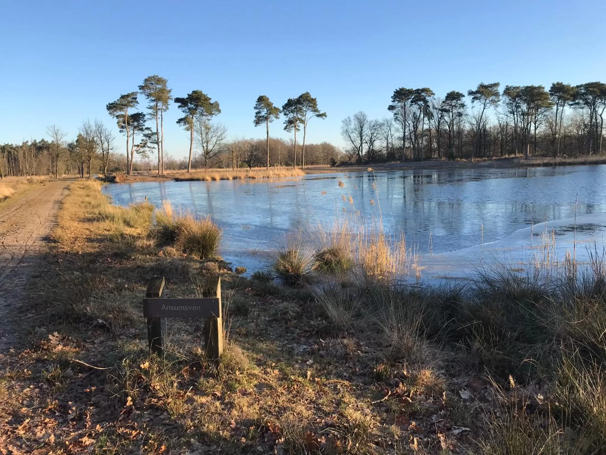 Natural landscape in De Kempse Hoeve B&B
