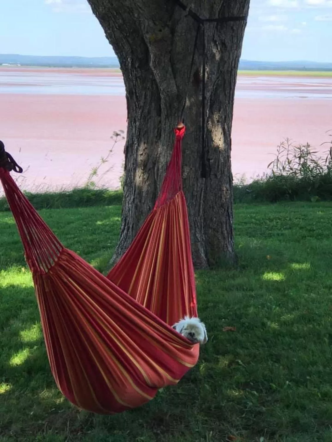 Activities in Cresthaven By the Sea