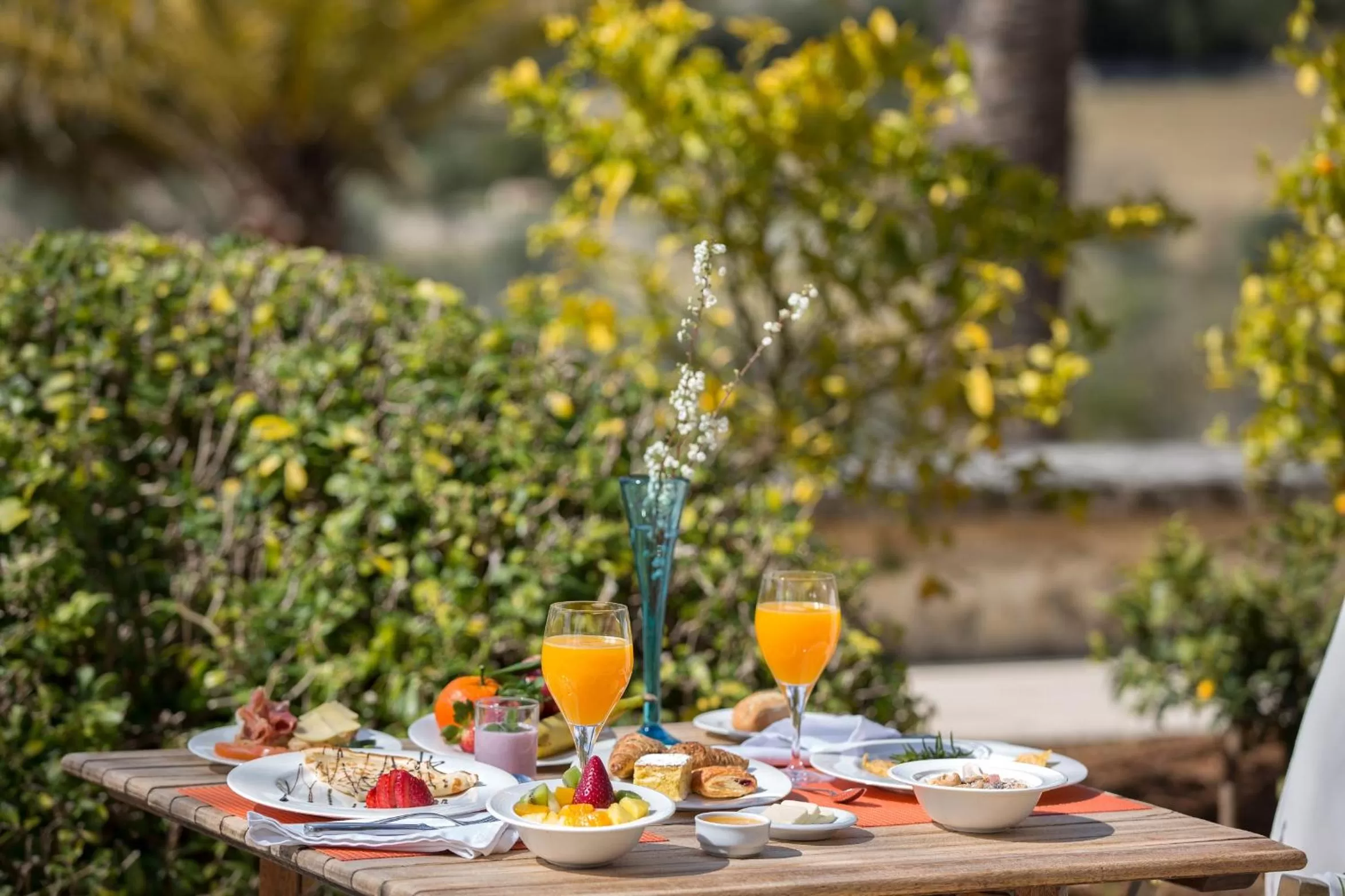 Food close-up in Monnàber Vell