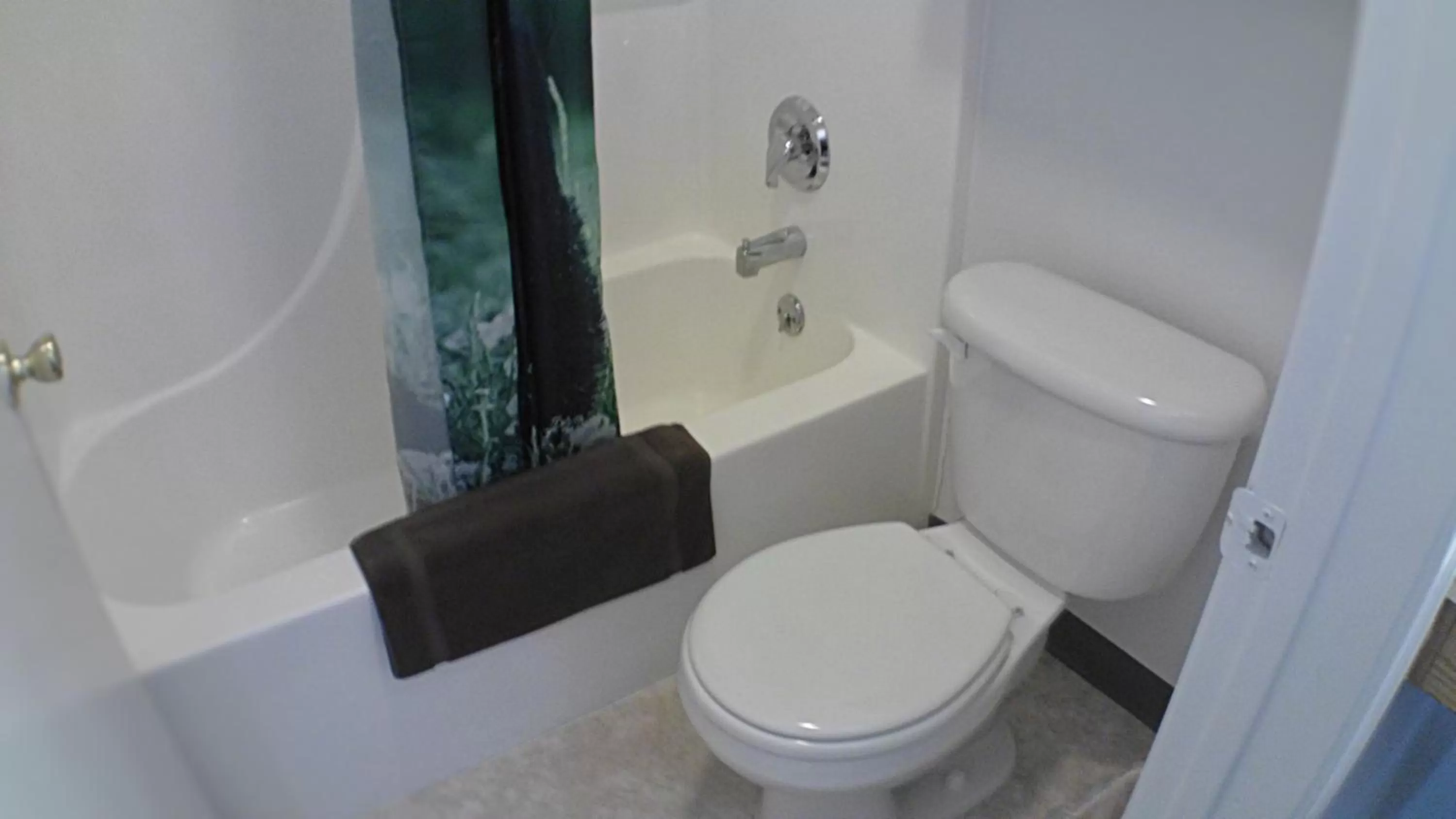 Shower in Americas Best Value Inn