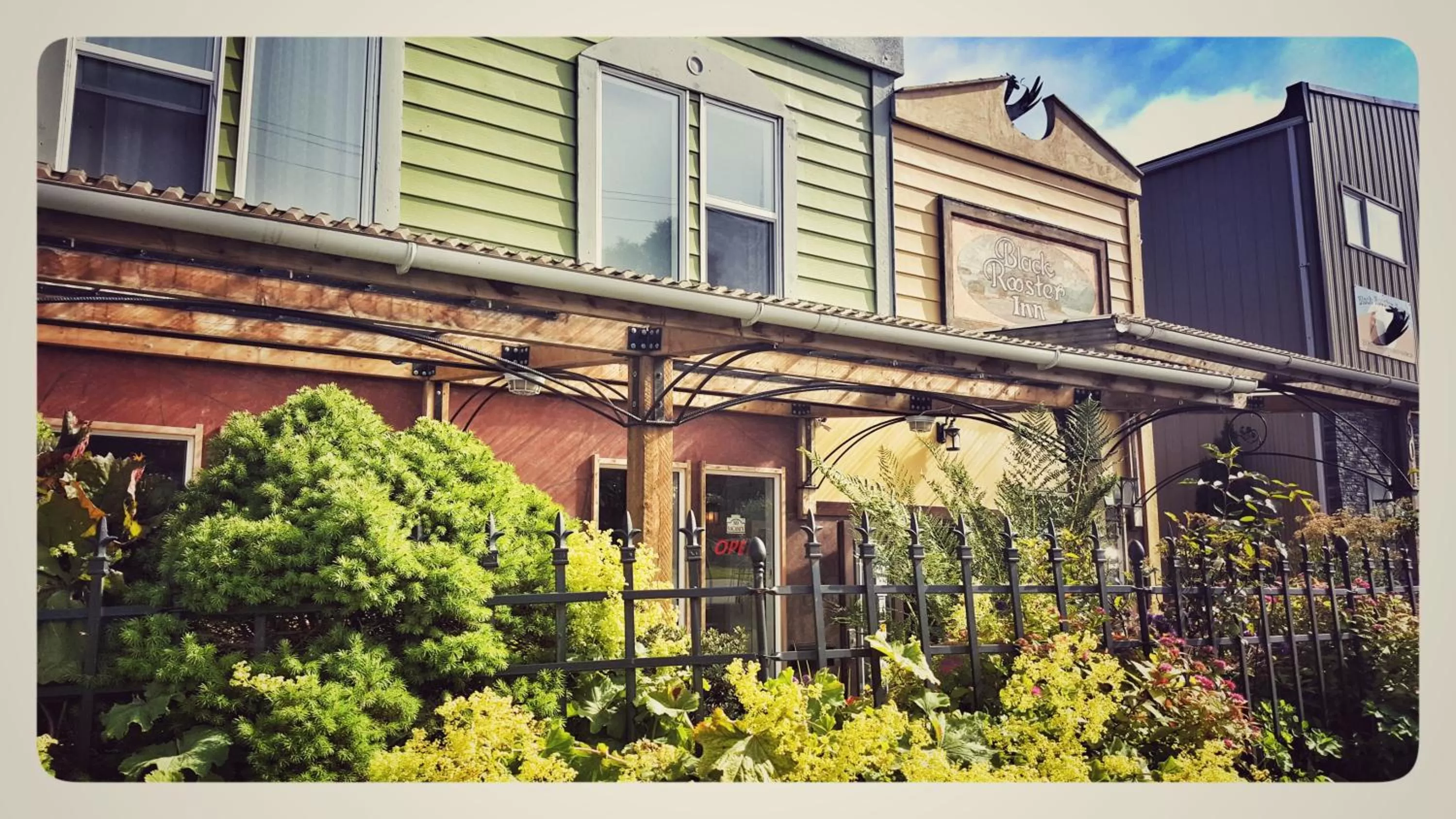 Garden view in Black Rooster Guesthouse