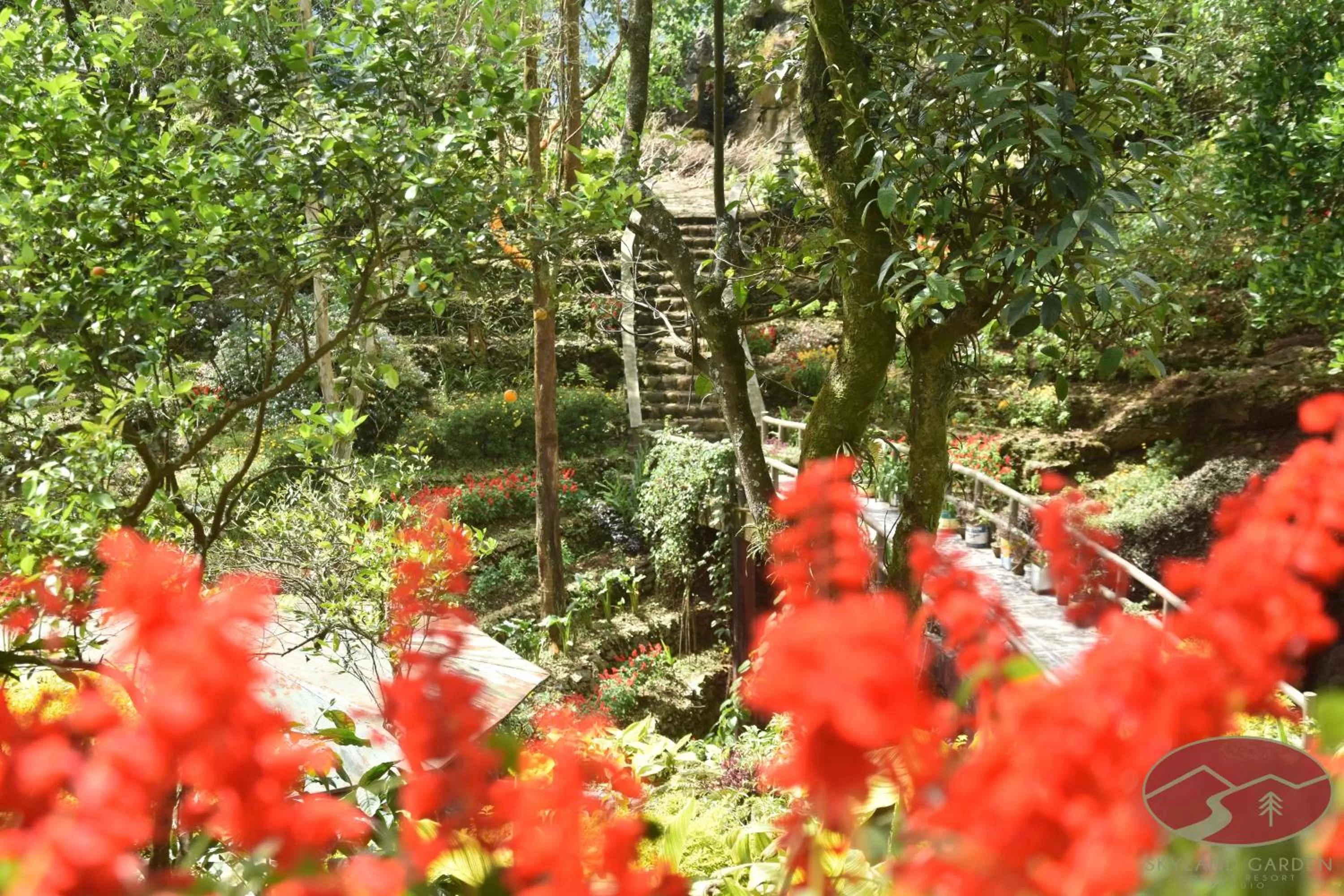 Natural Landscape in Skyland Garden Hotel and Resort