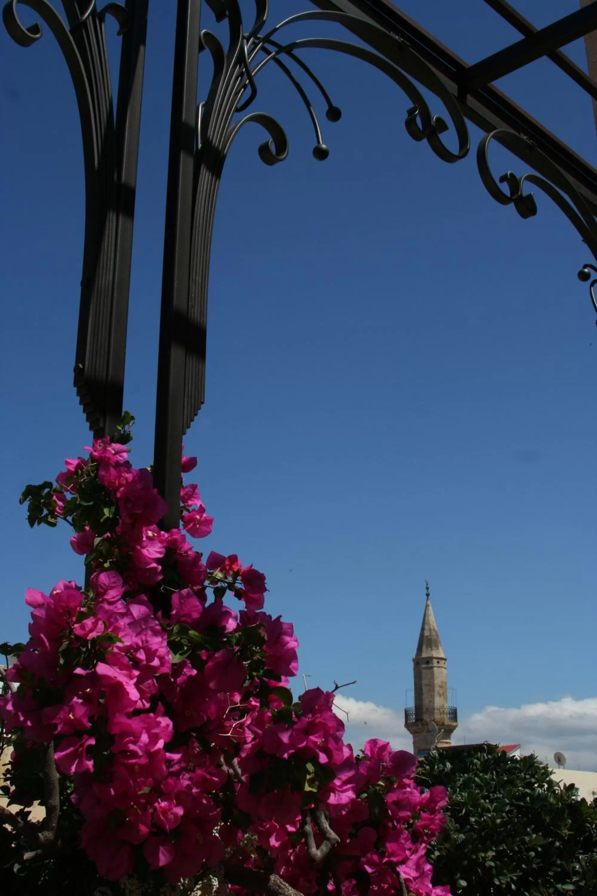 Patio in Ionas Boutique Hotel