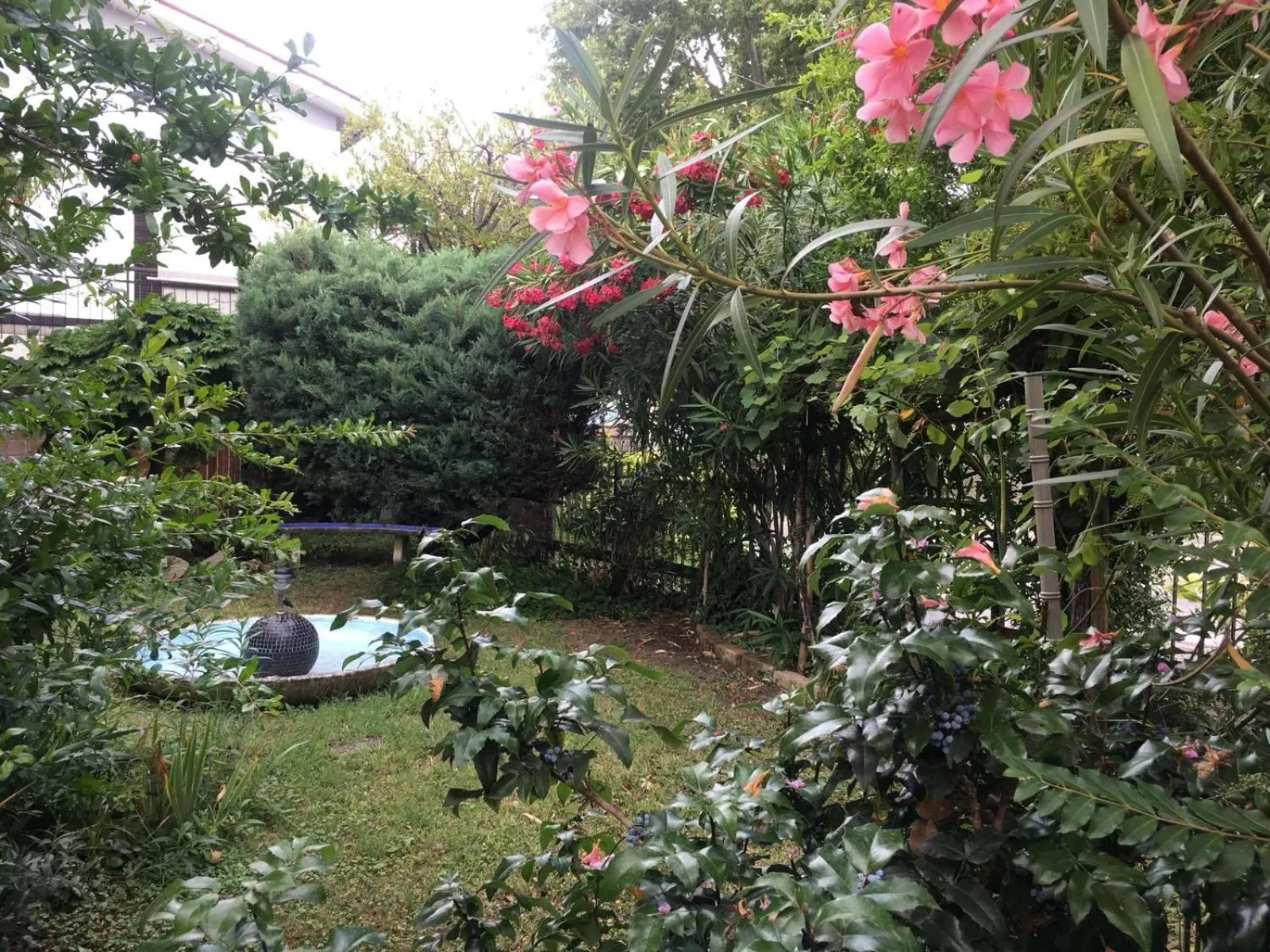 Alla Rotonda dai Santi