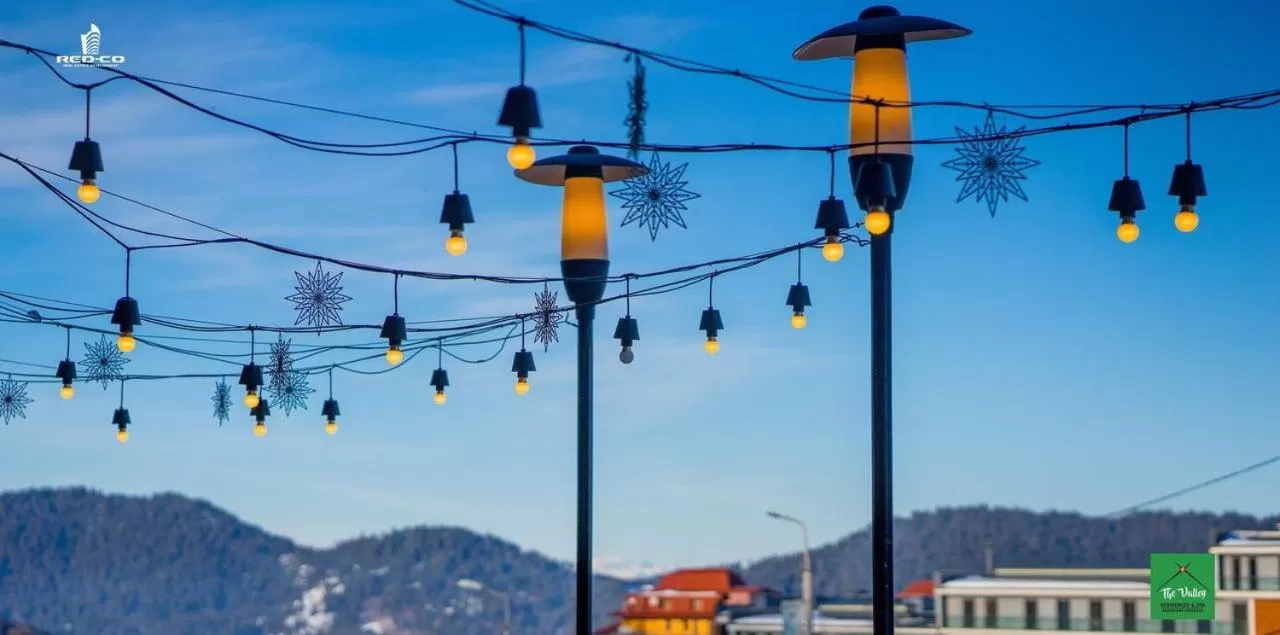 Winter in Bakuriani the Valley 115 - 202