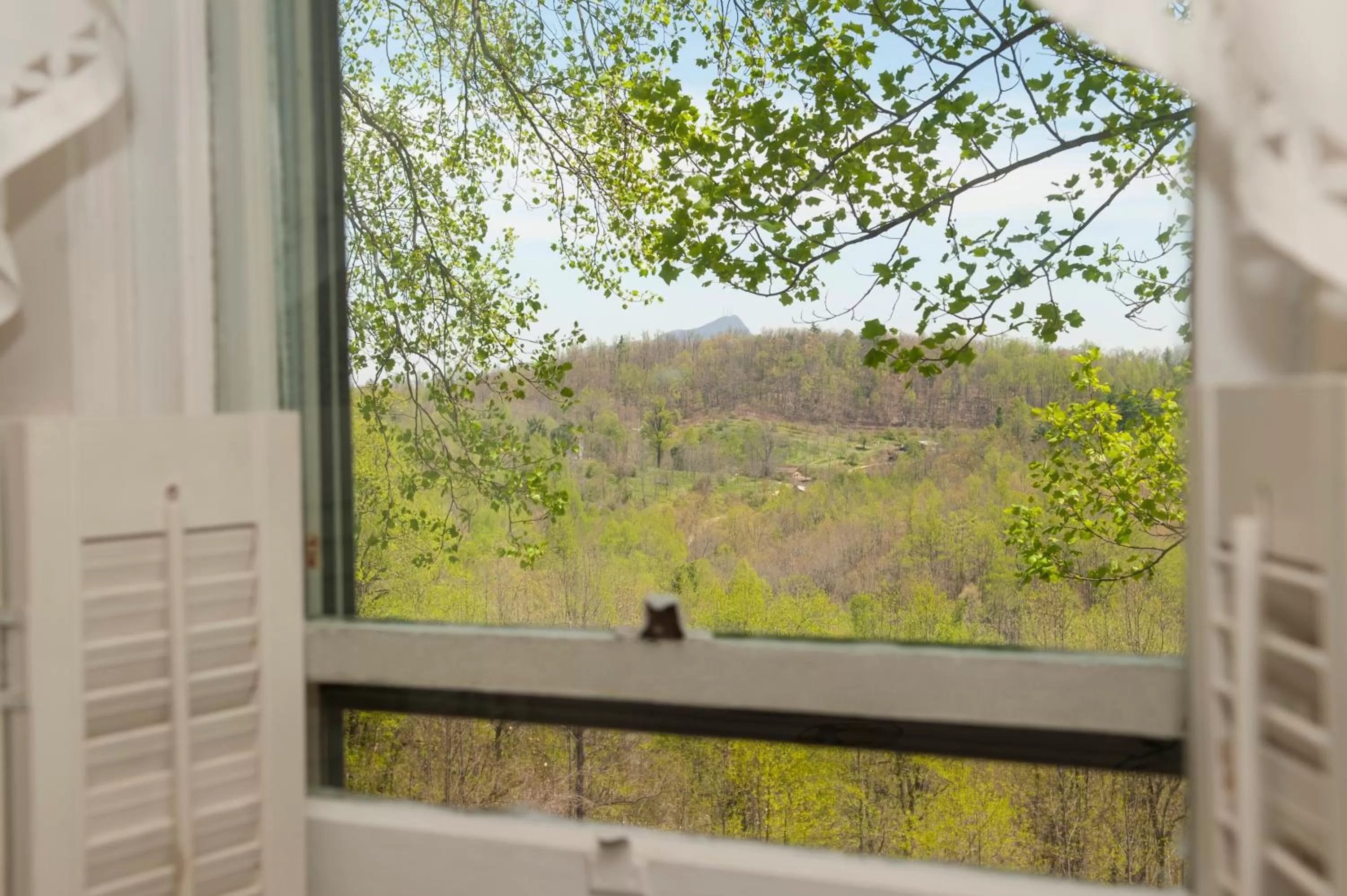 Balcony/Terrace in Orchard Inn