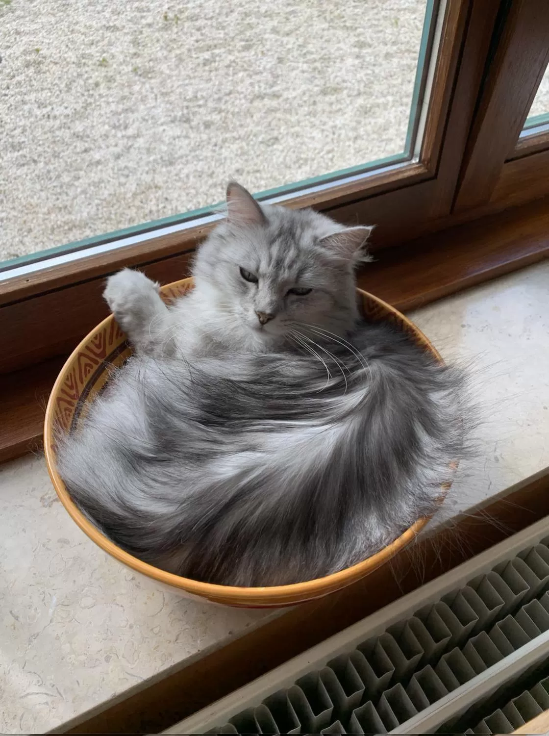 Animals, Pets in L'Étape Fagnarde - Bed, Breakfast & Sauna