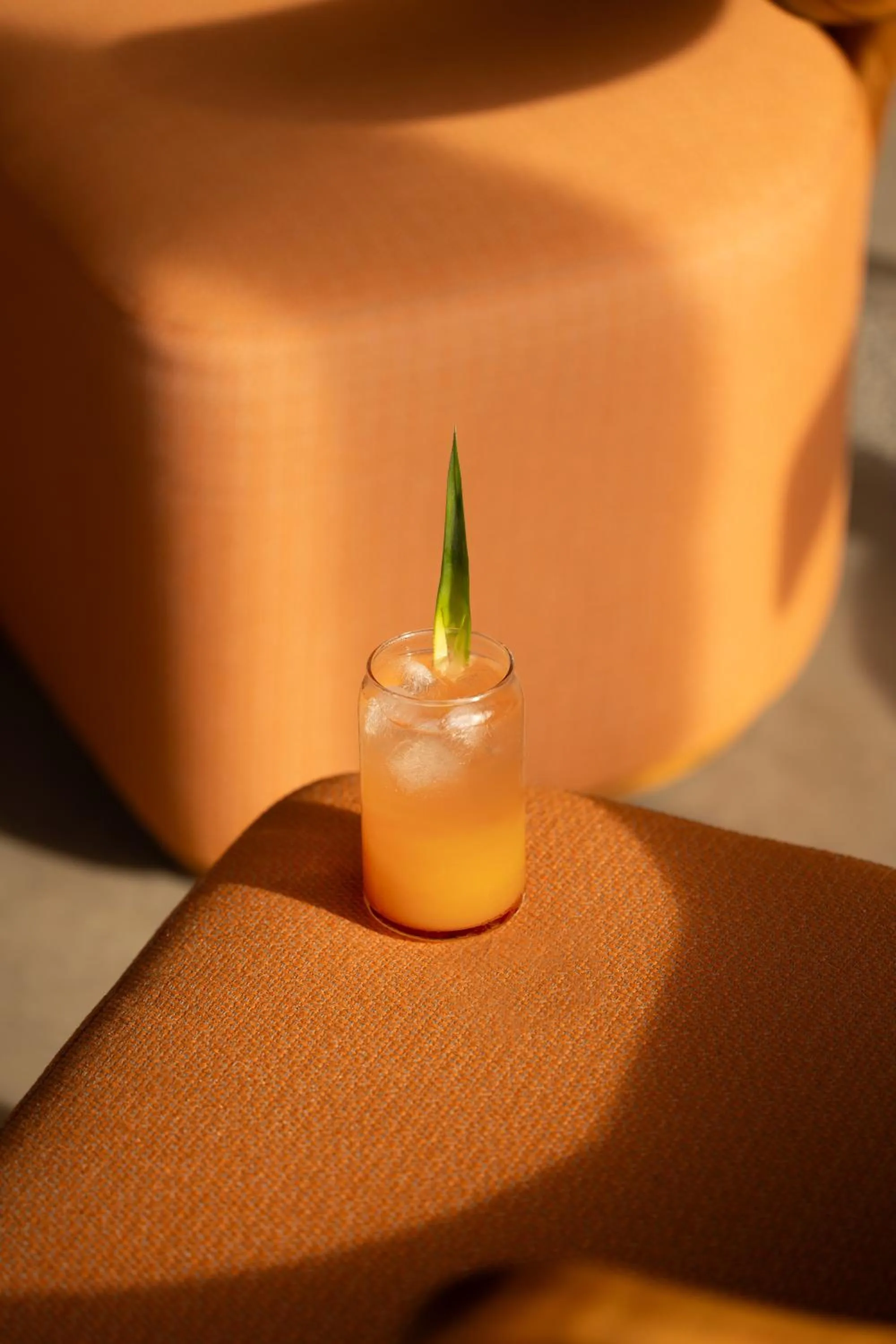 Food and drinks in Menjaga Bay