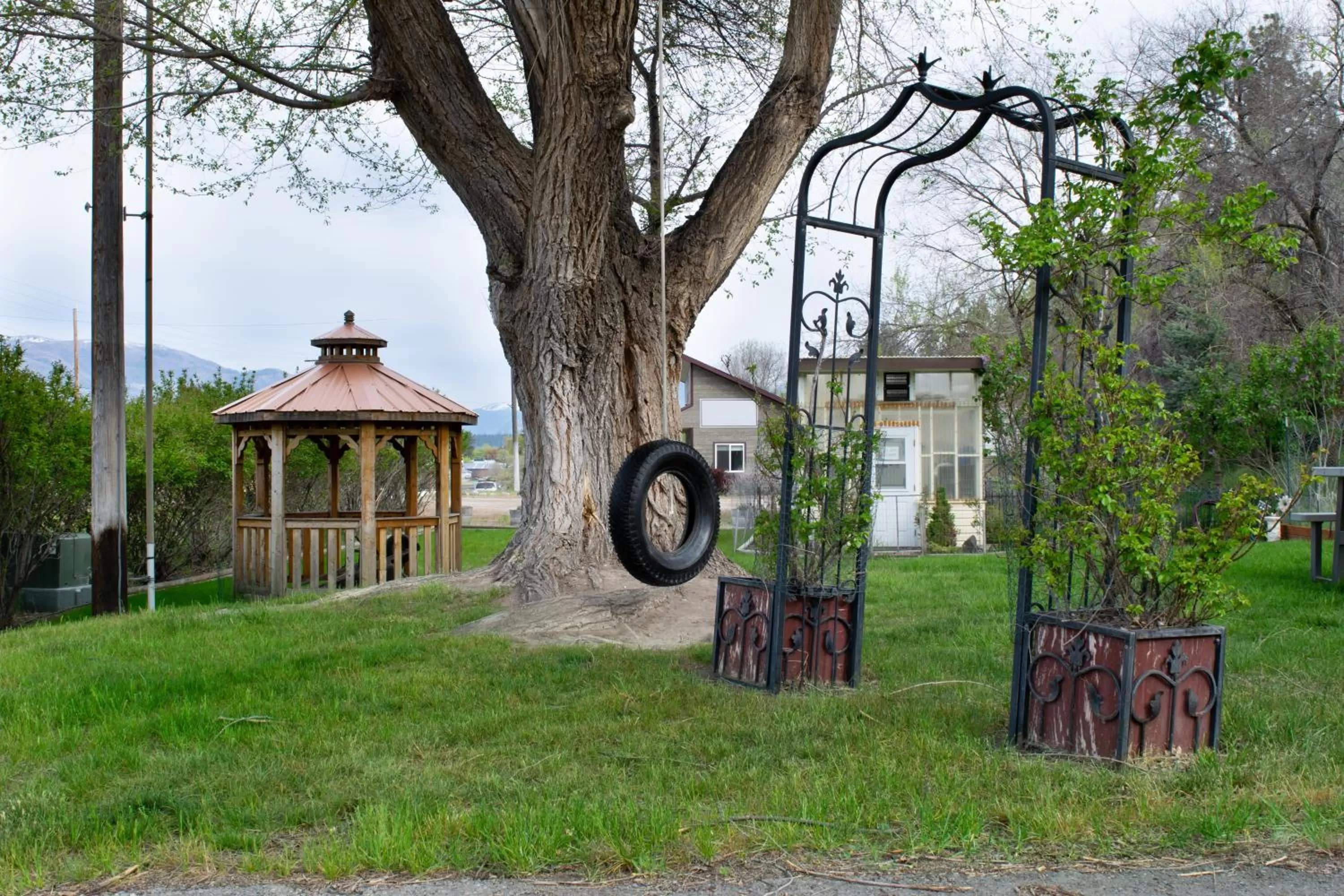Natural landscape, Property Building in Dew Duck Inn