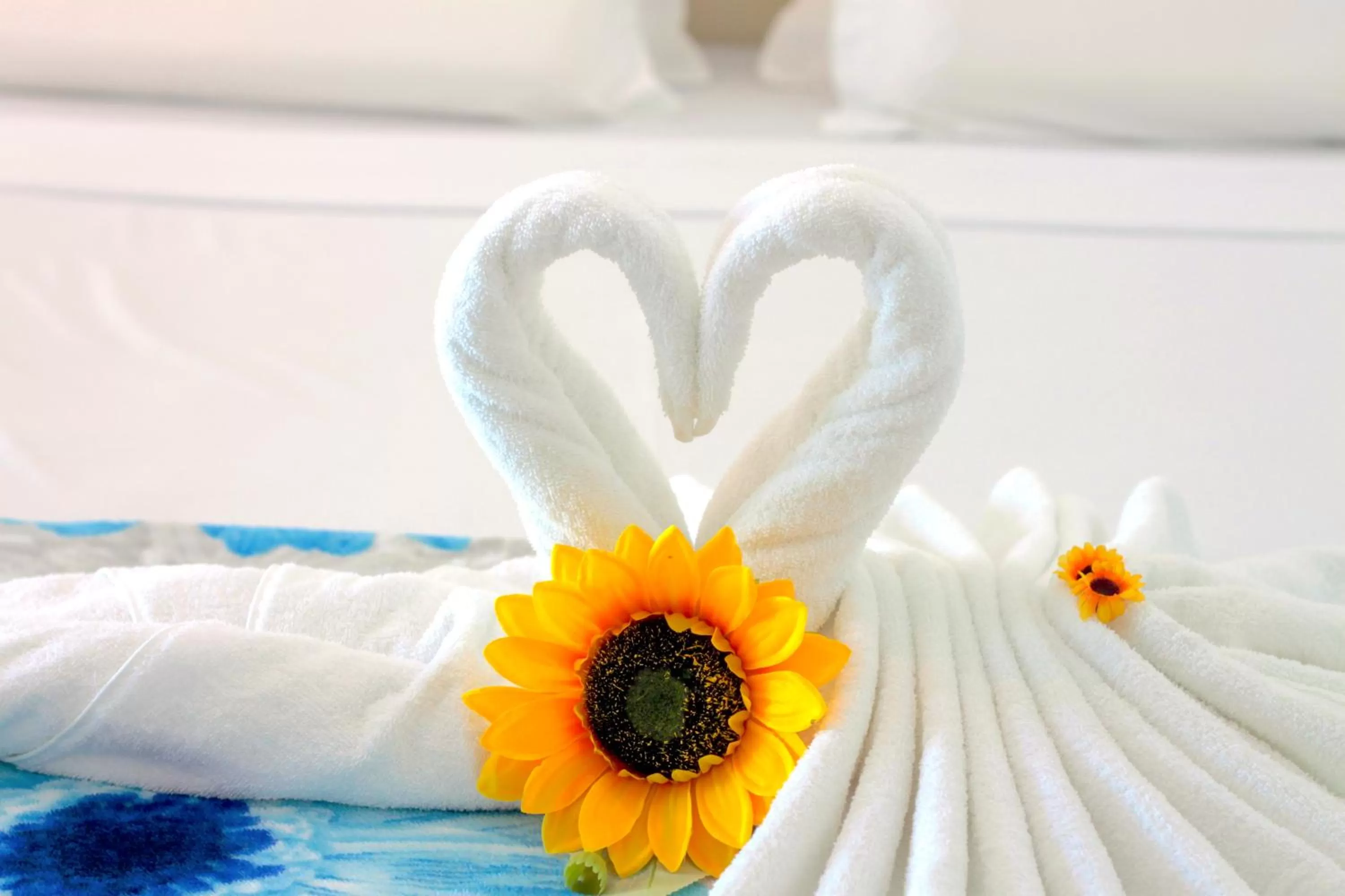 Pousada Concha Dourada