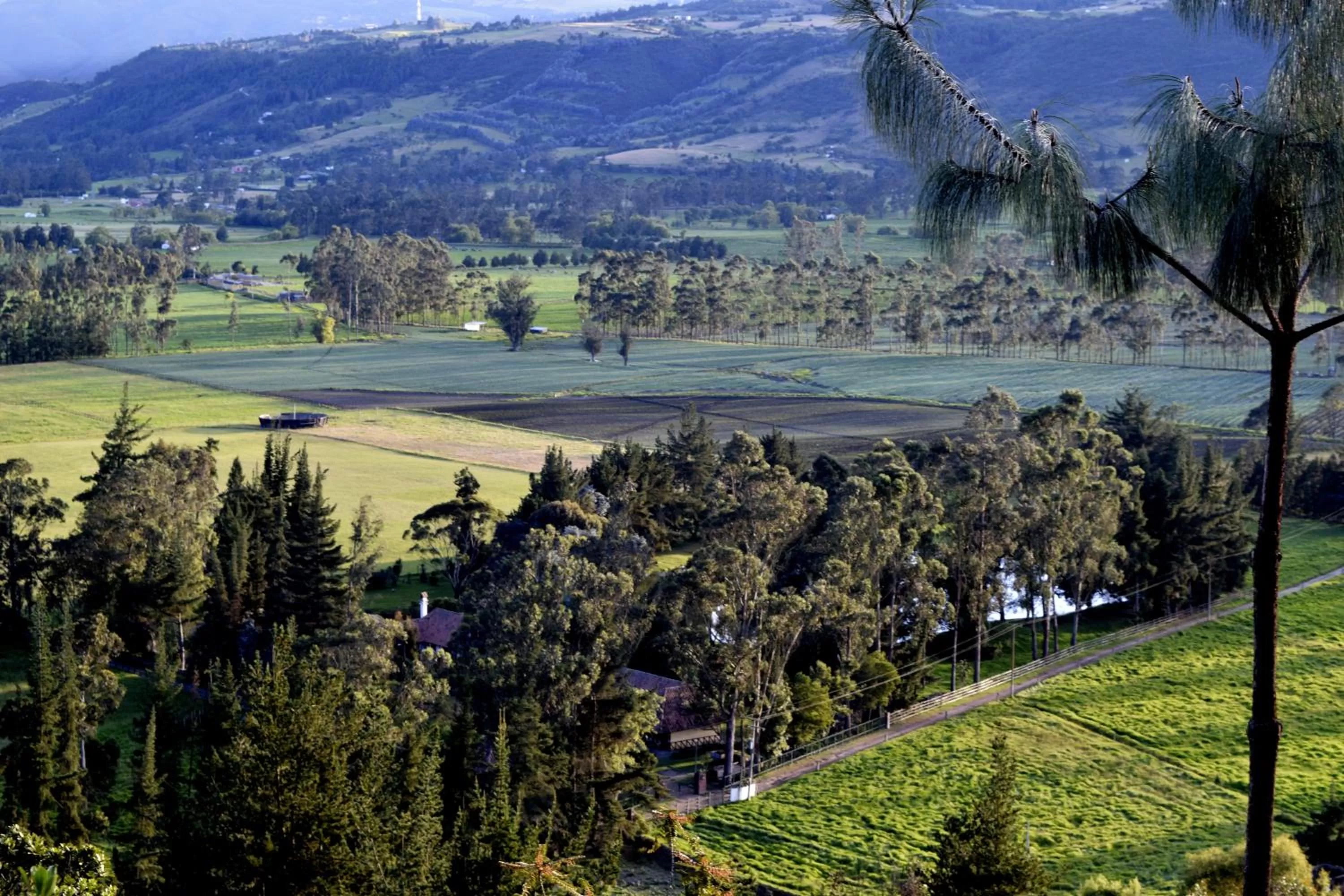 Landmark view in El Pedregal Sopó