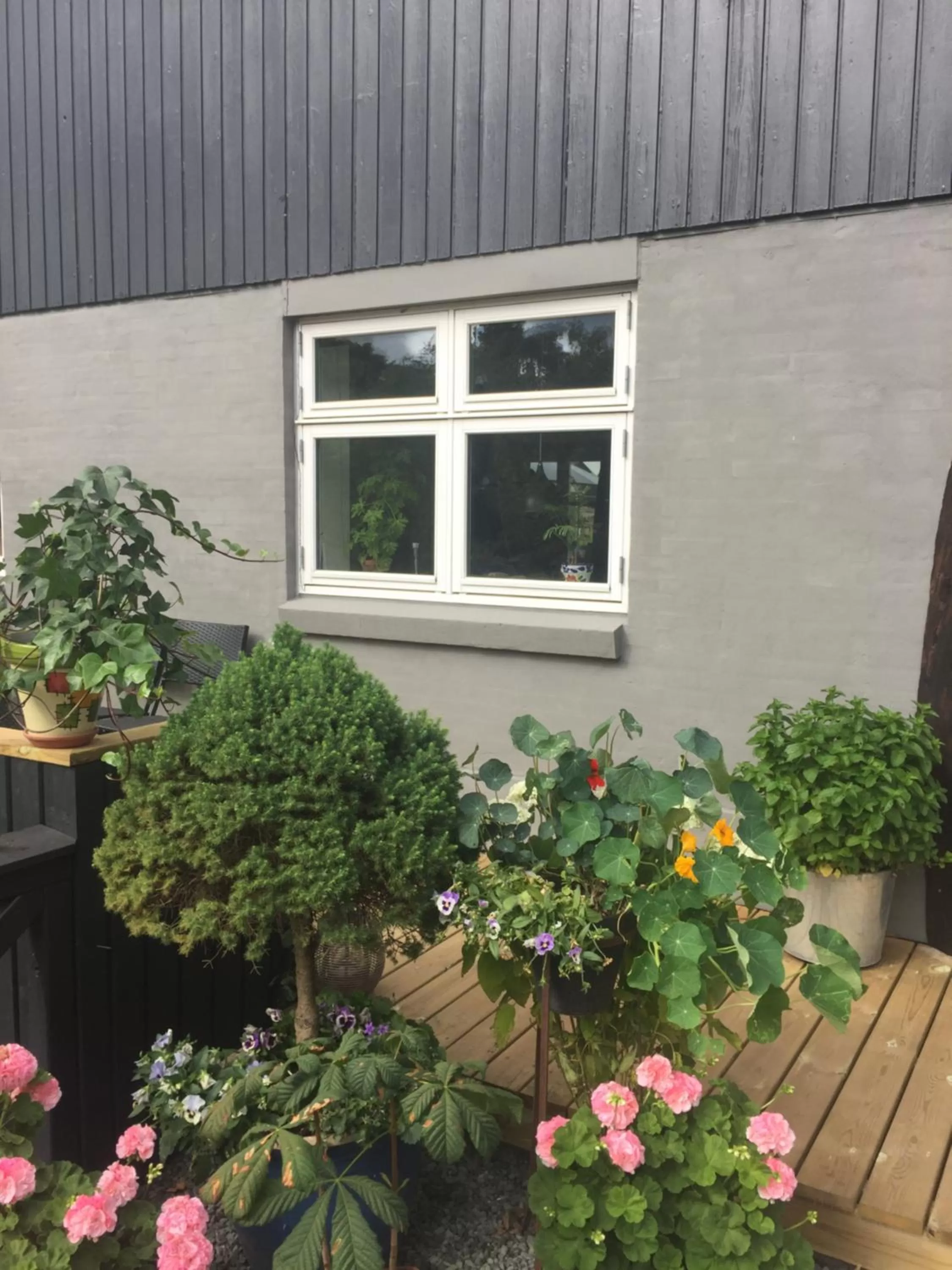 Area and facilities in Molino