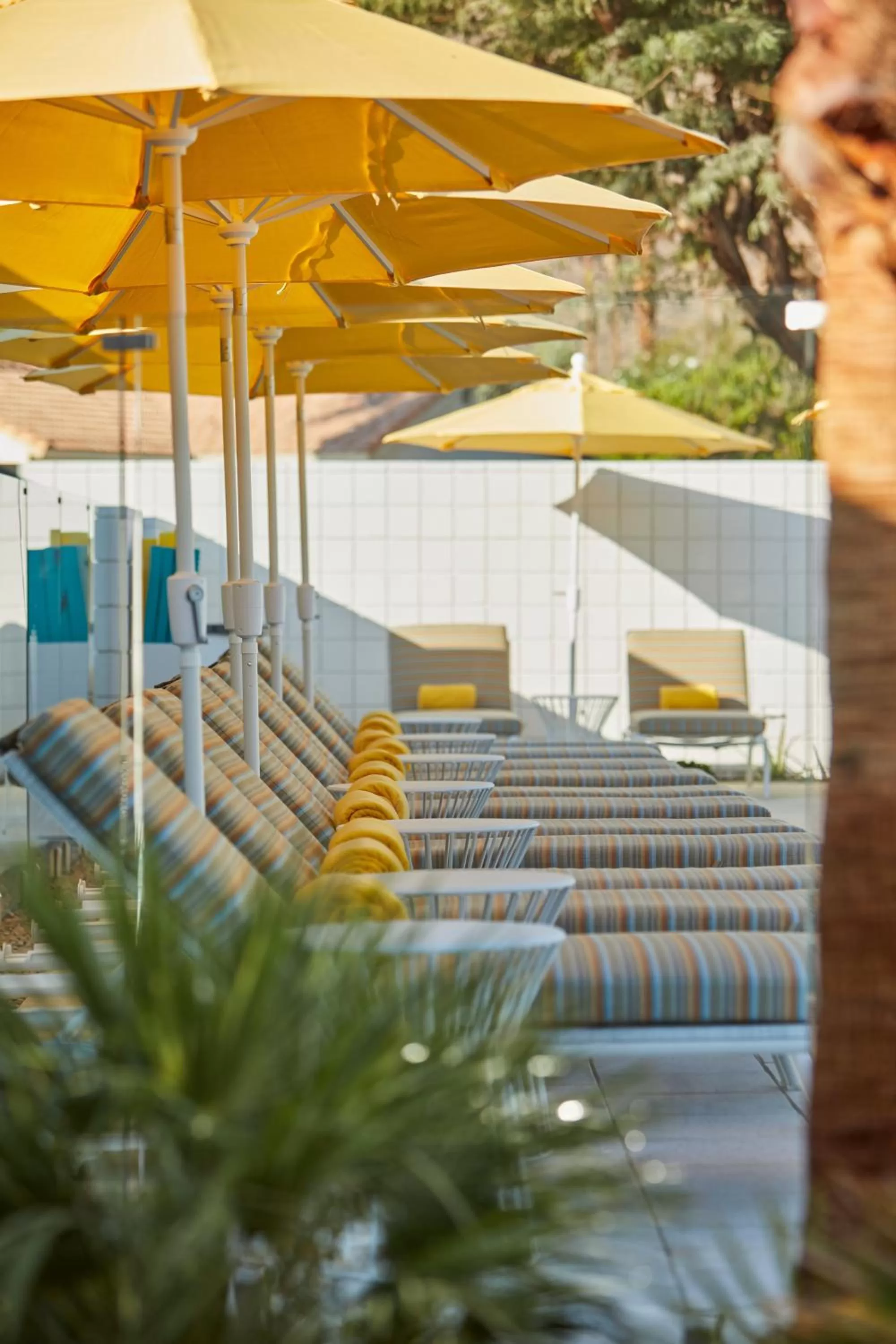 Mountain view in Twin Palms Resort - A Gay Men's Resort