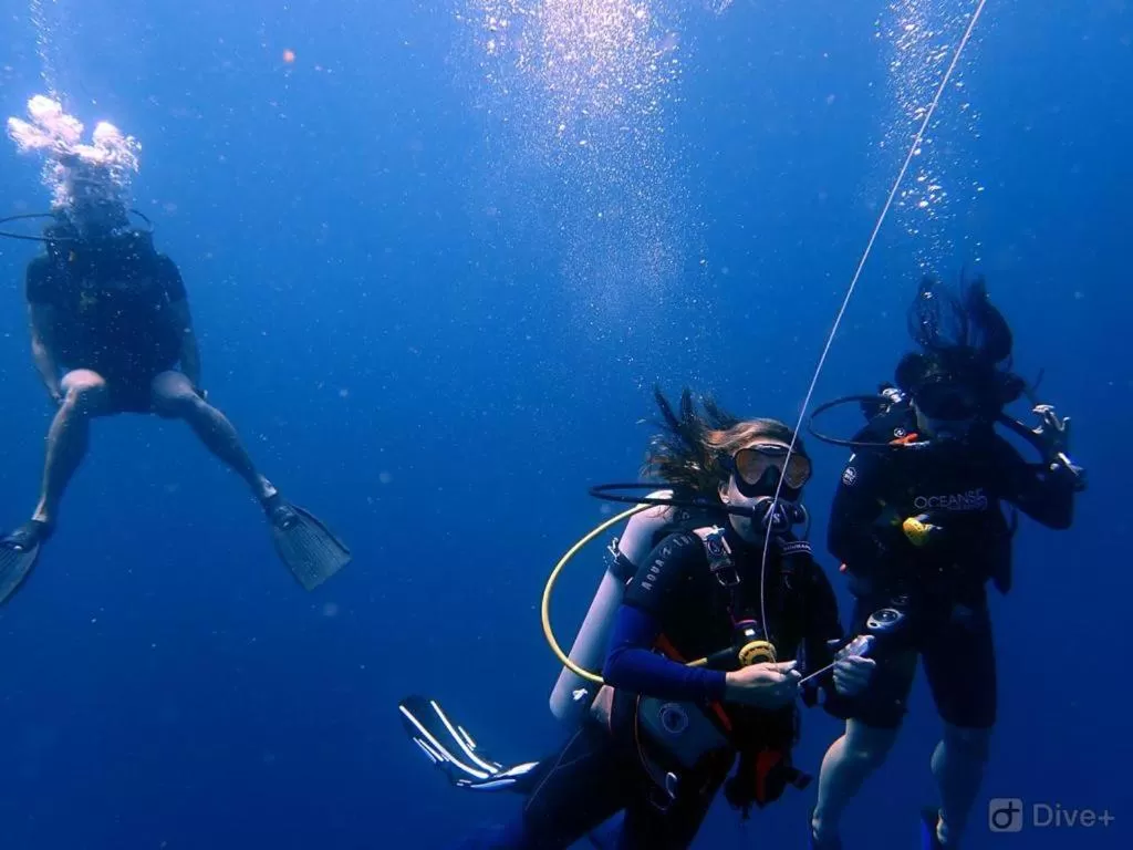 Oceans 5 Dive Resort