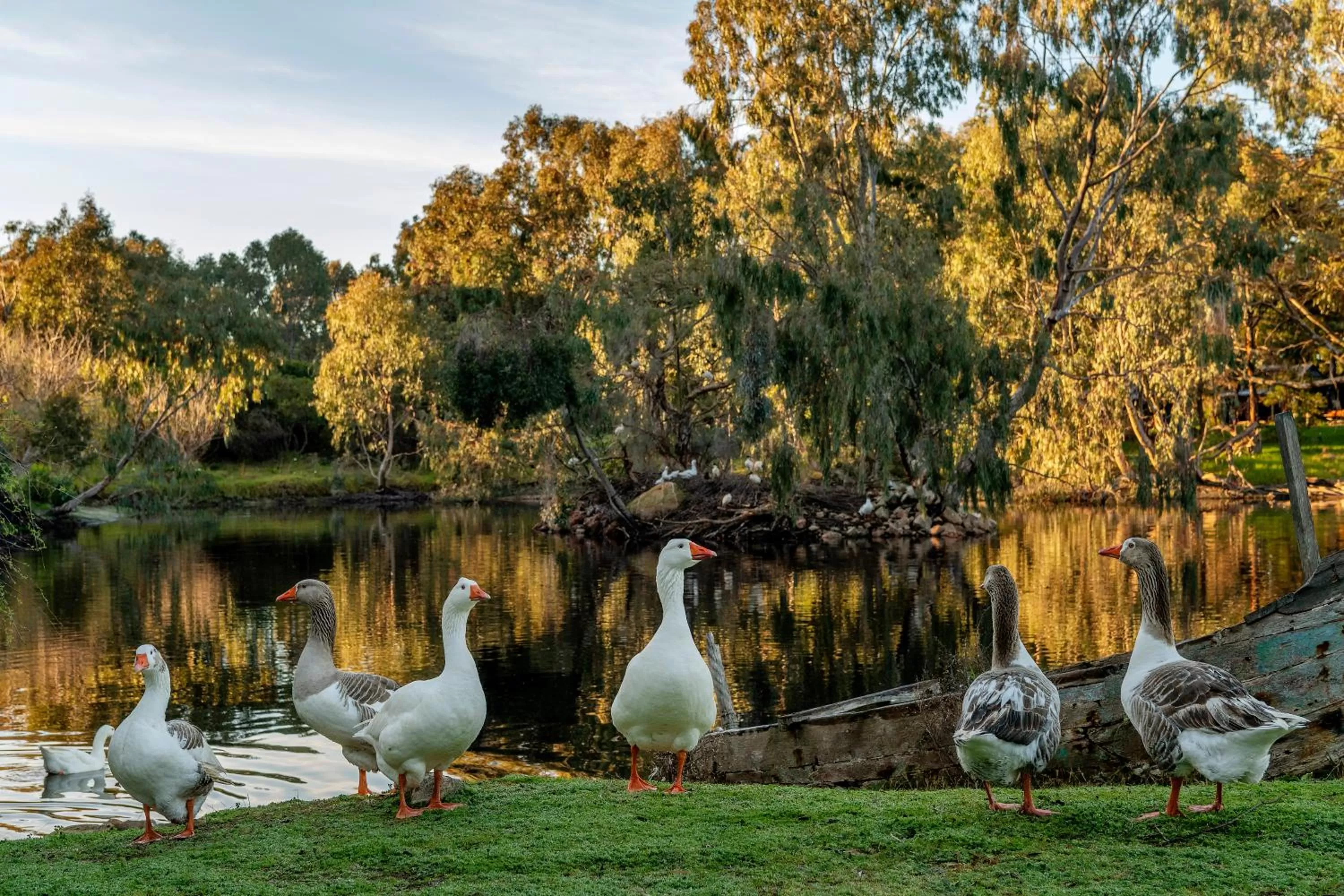 Natural landscape in Yala Yallingup Retreat & Spa