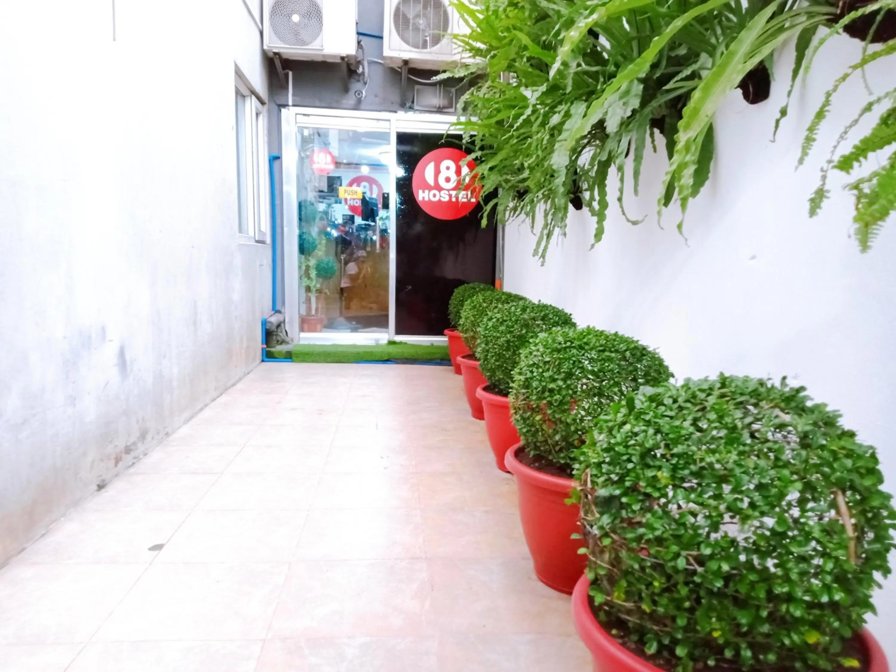 Garden in 8Hostel