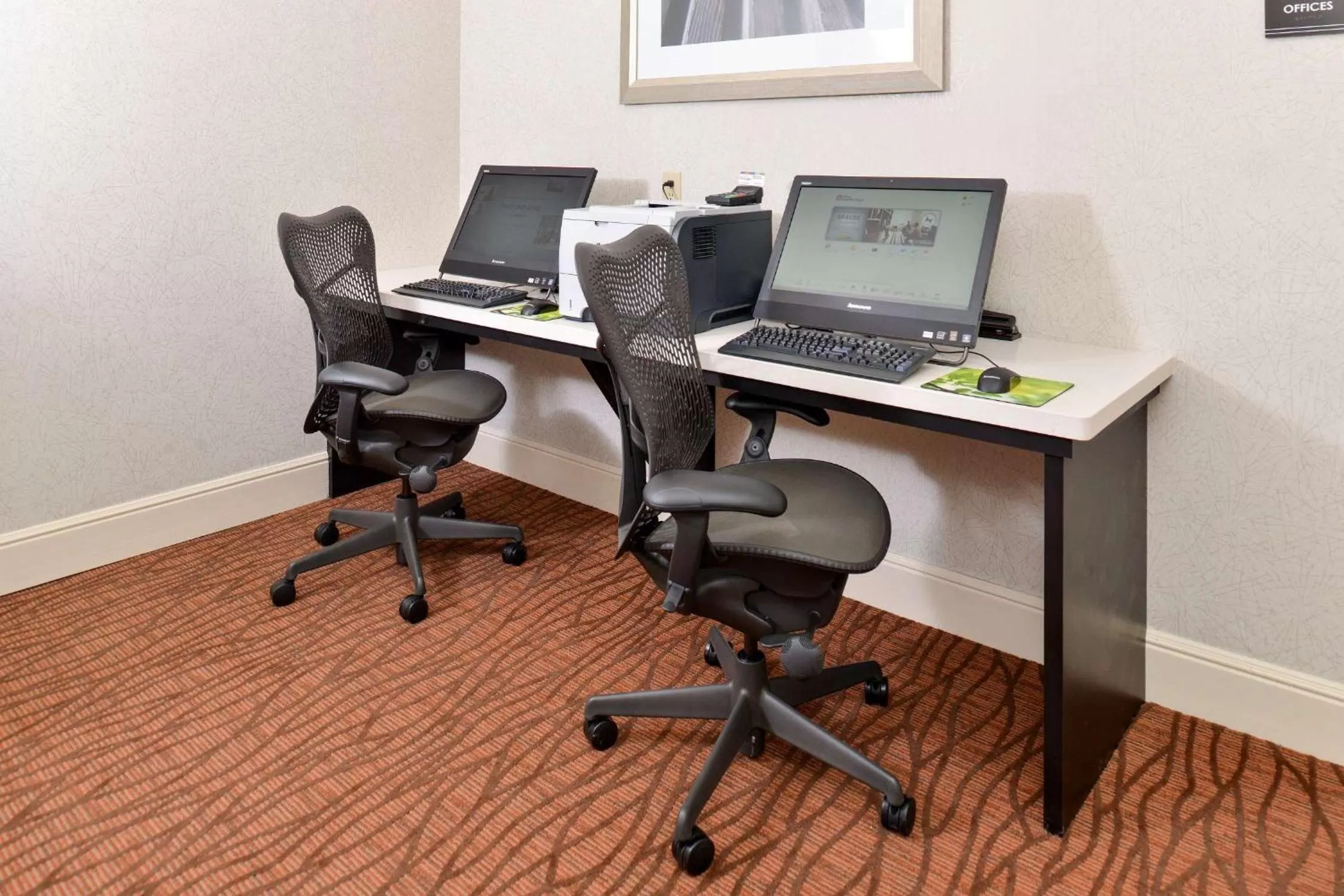 Business facilities in Hilton Garden Inn Addison