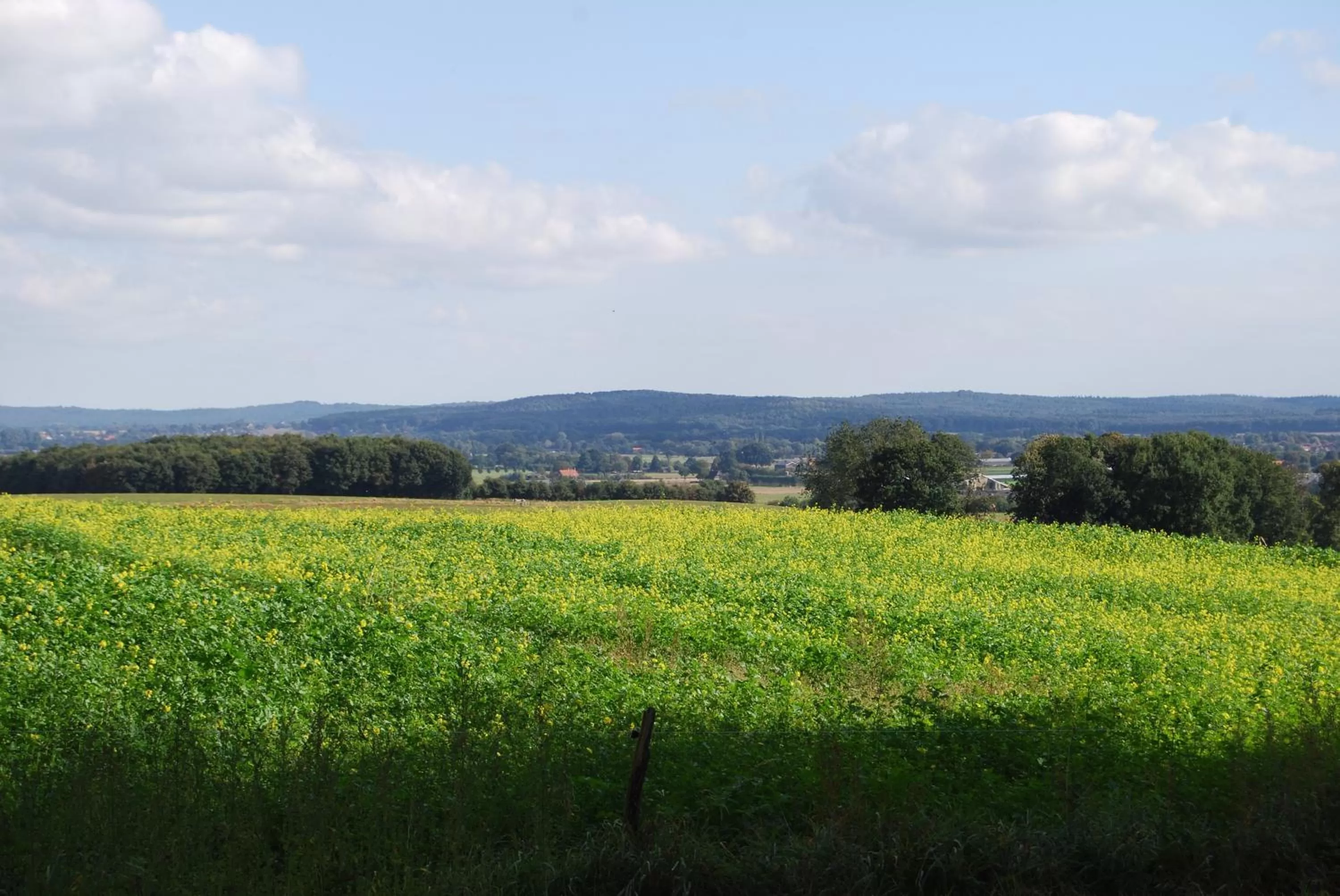 Natural landscape in Hotel & Appartementen - De Zeven Heuvelen