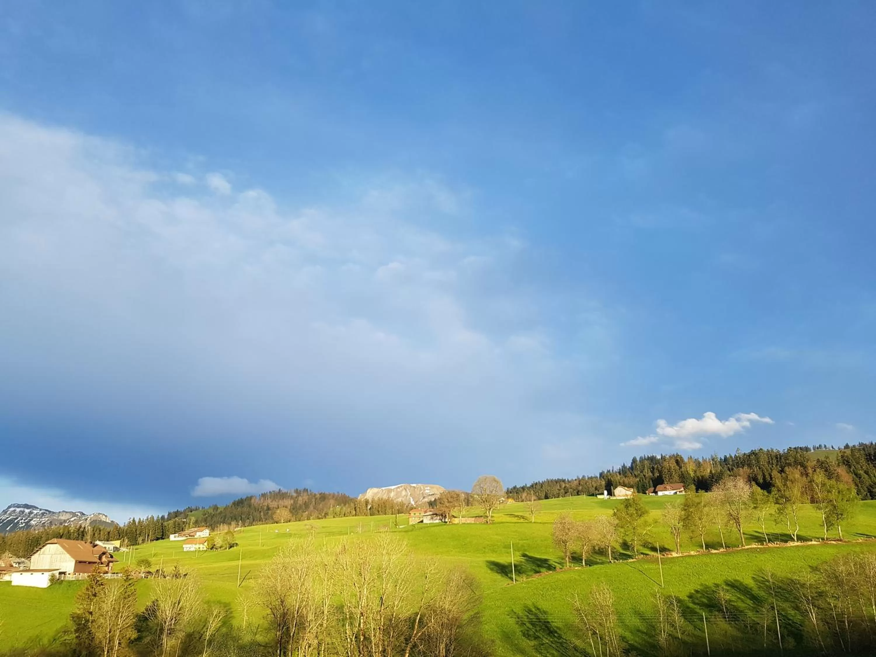 View (from property/room) in B&B Hof Grosschreie