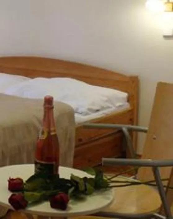 Food and drinks, Bed in Pension Prague City