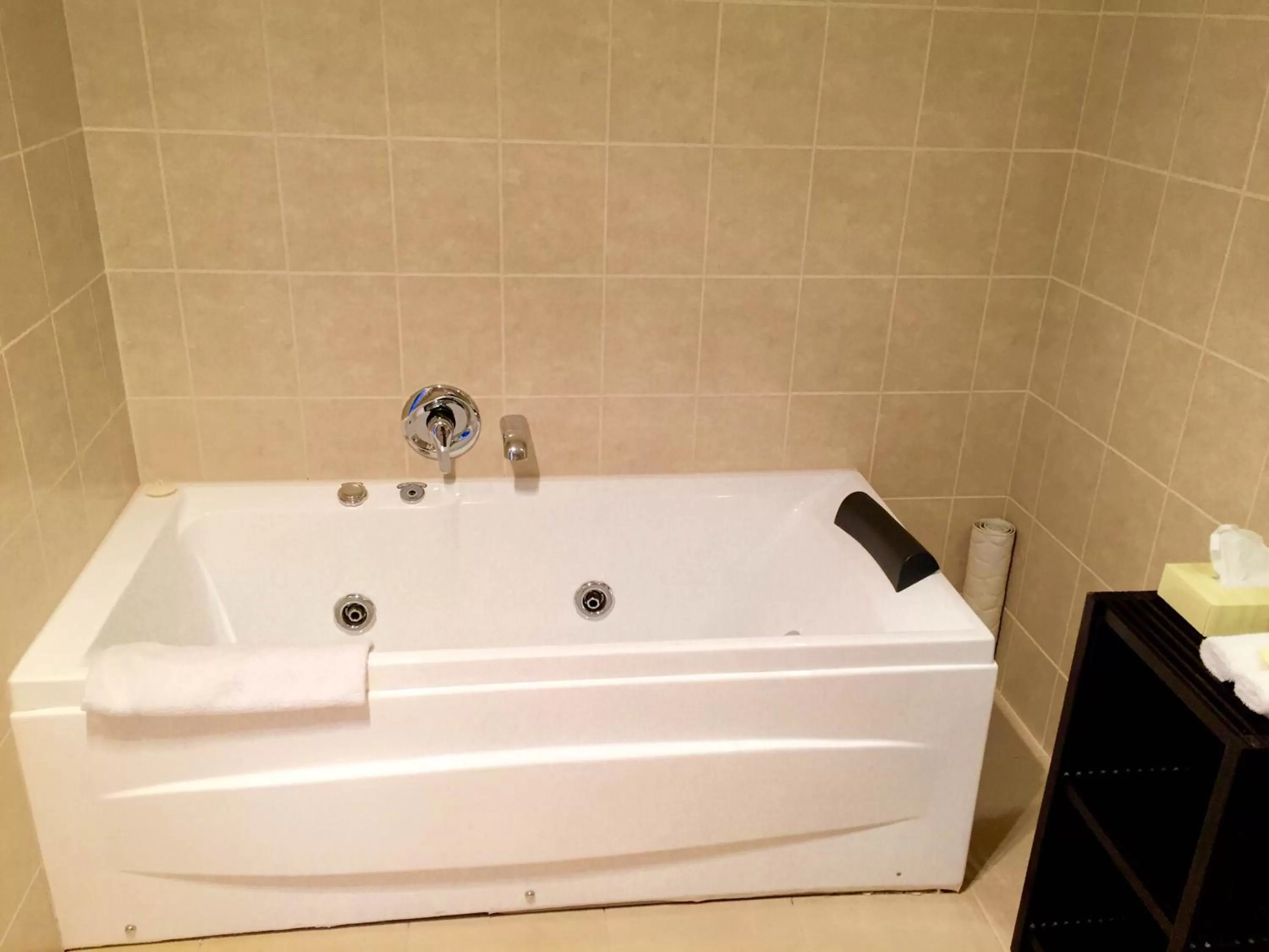 Bathroom in Alpha Motel with Spa-Bath