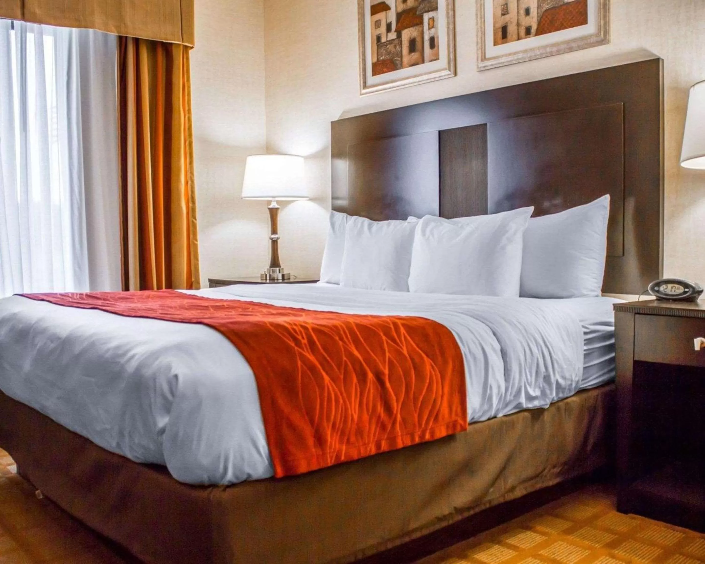 Photo of the whole room in Comfort Suites Edinboro